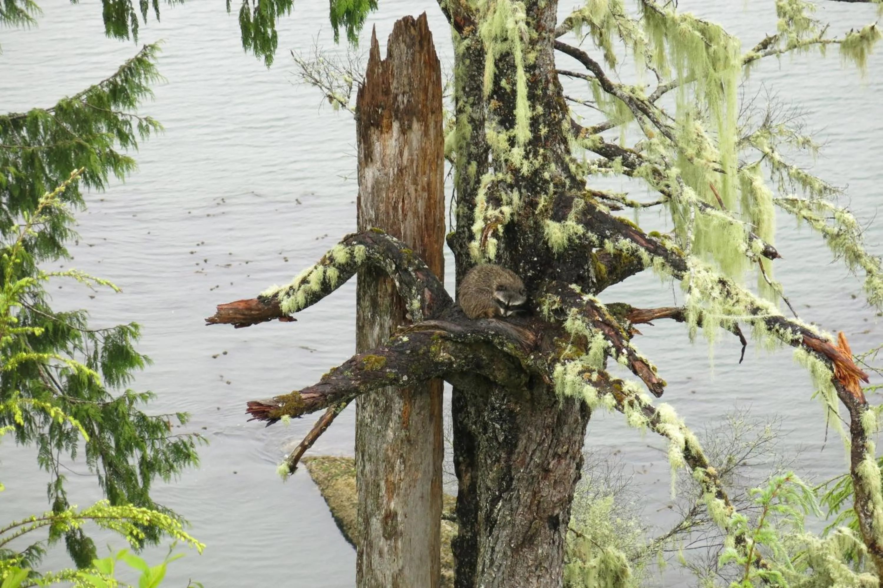 Natural landscape in A Shack In The Woods