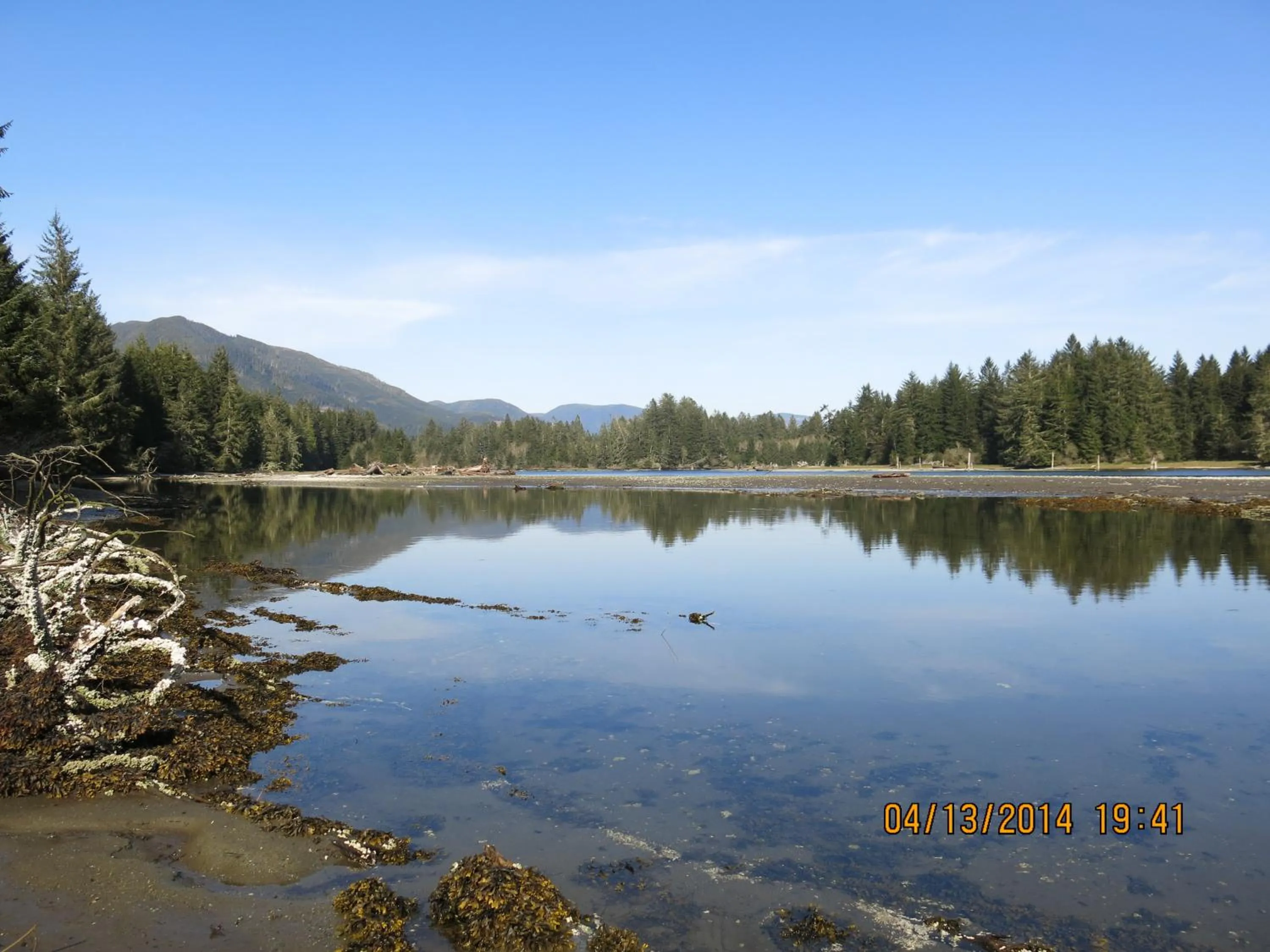 Natural landscape in A Shack In The Woods