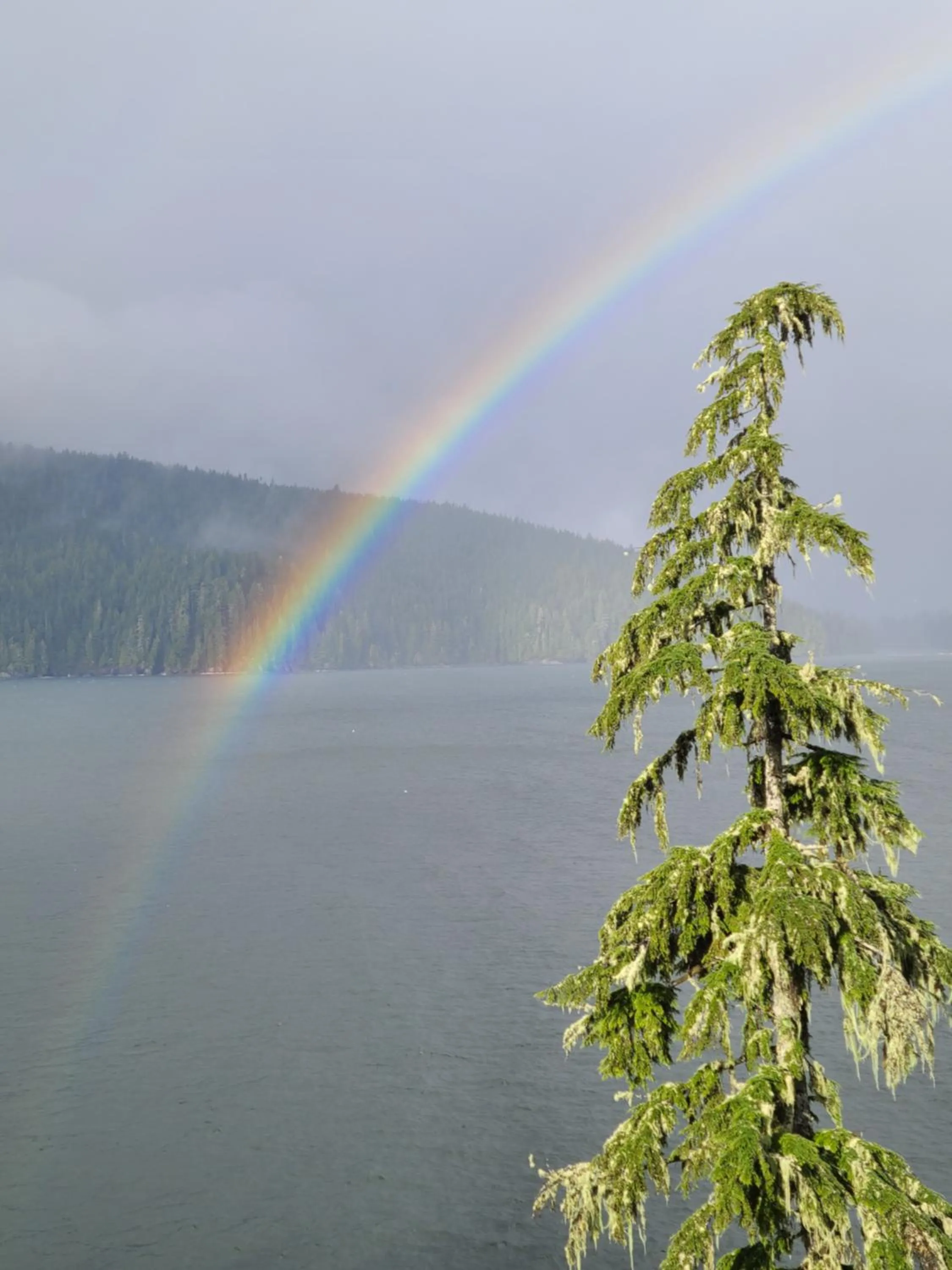 Mountain view in A Shack In The Woods