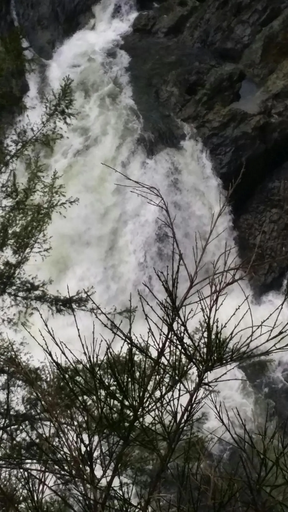 Natural landscape in A Shack In The Woods