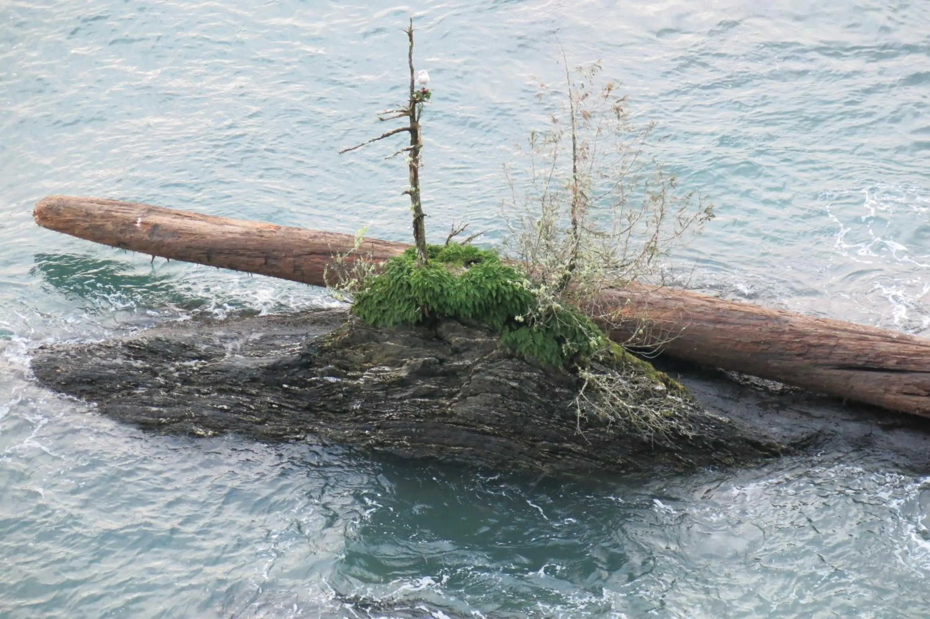 Natural landscape in A Shack In The Woods