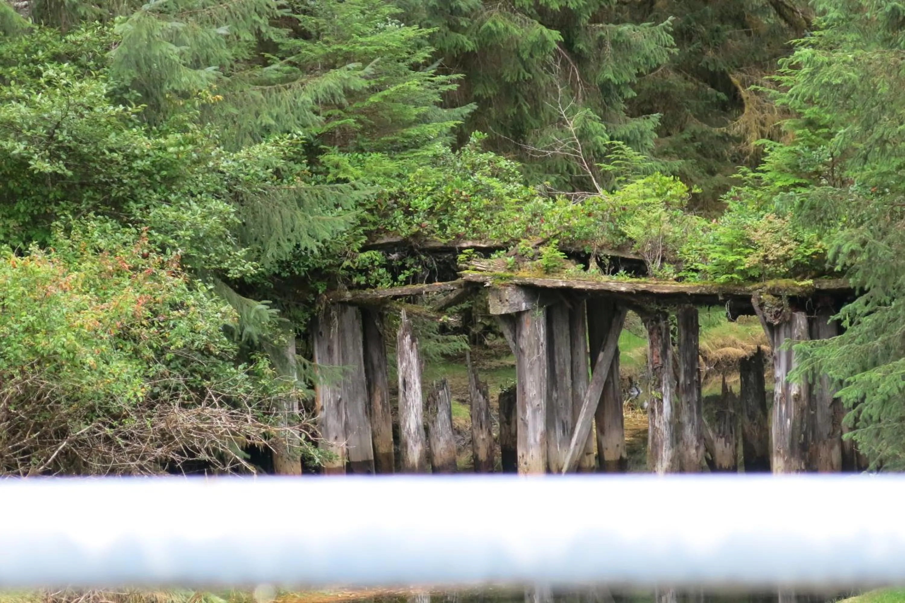 Natural landscape in A Shack In The Woods