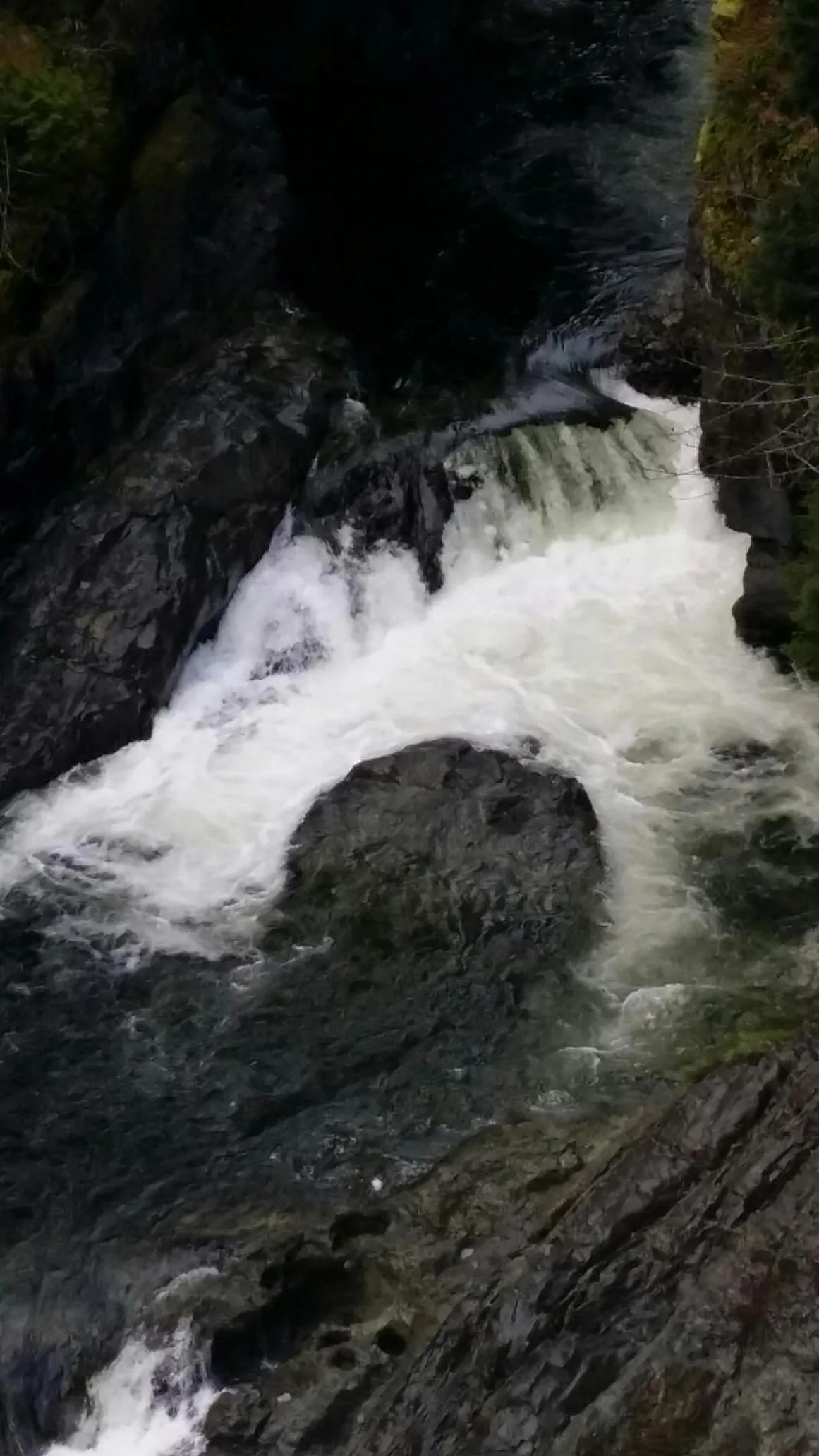 Nearby landmark in A Shack In The Woods
