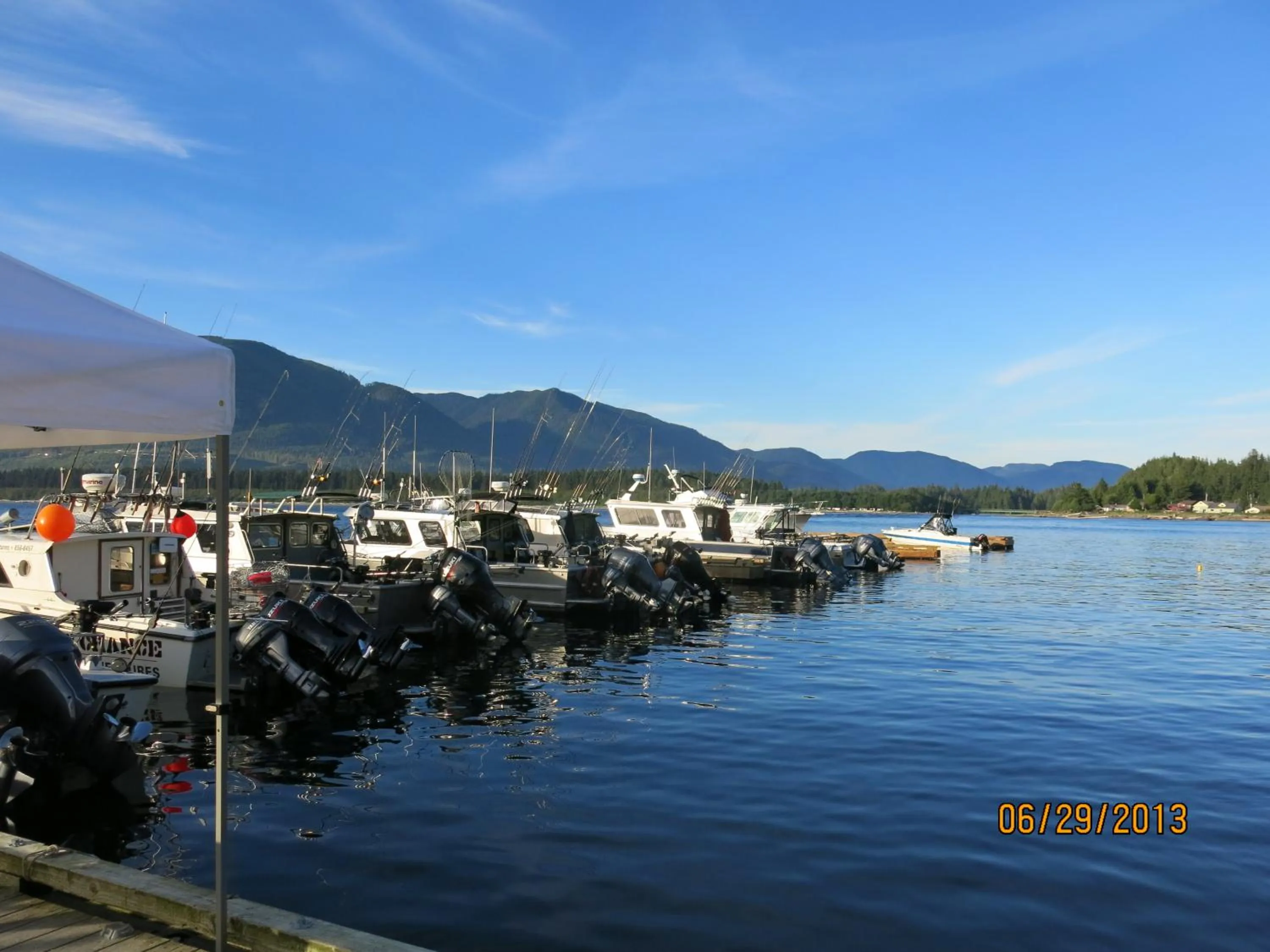 Summer in A Shack In The Woods