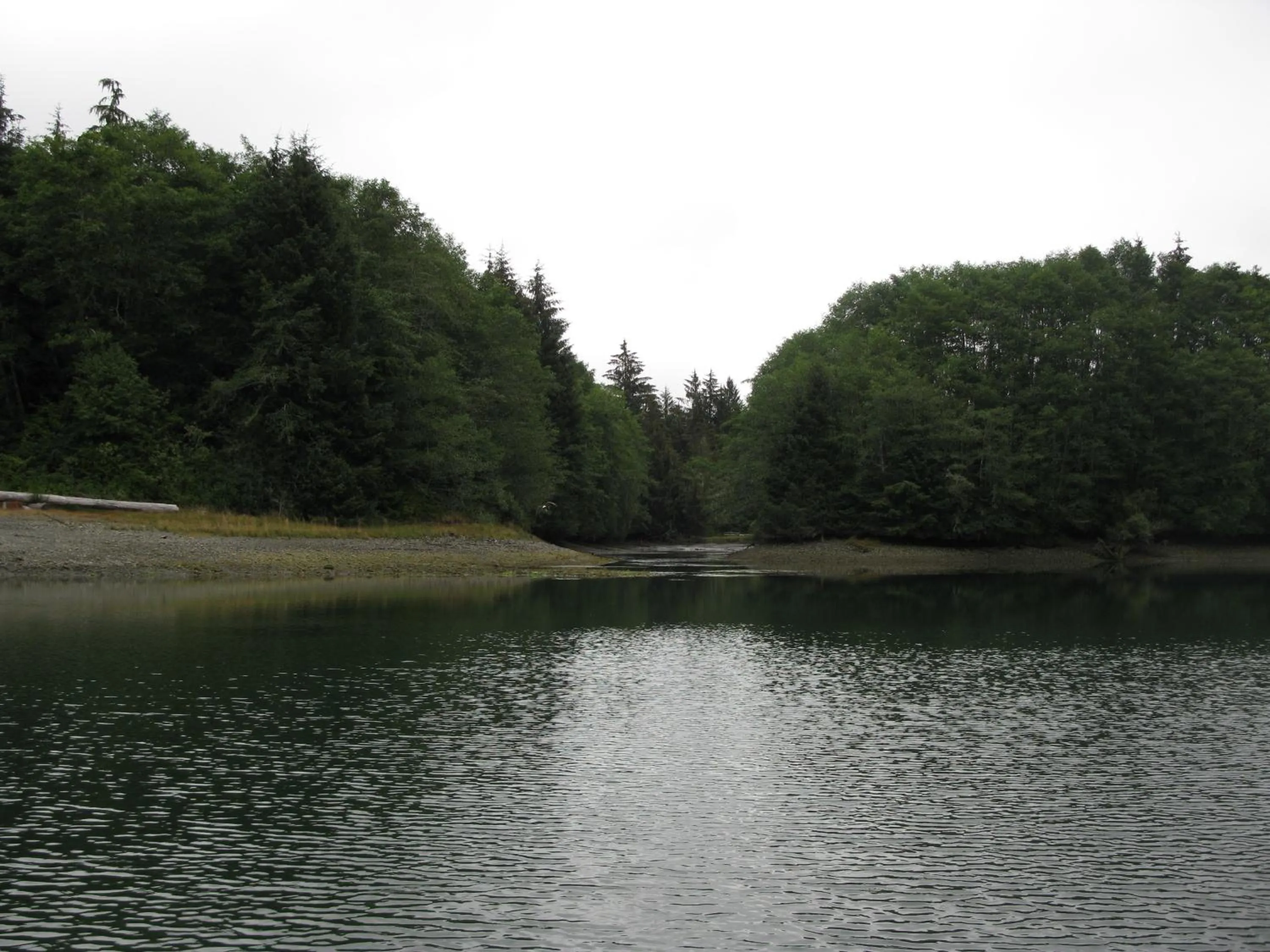 Natural landscape in A Shack In The Woods