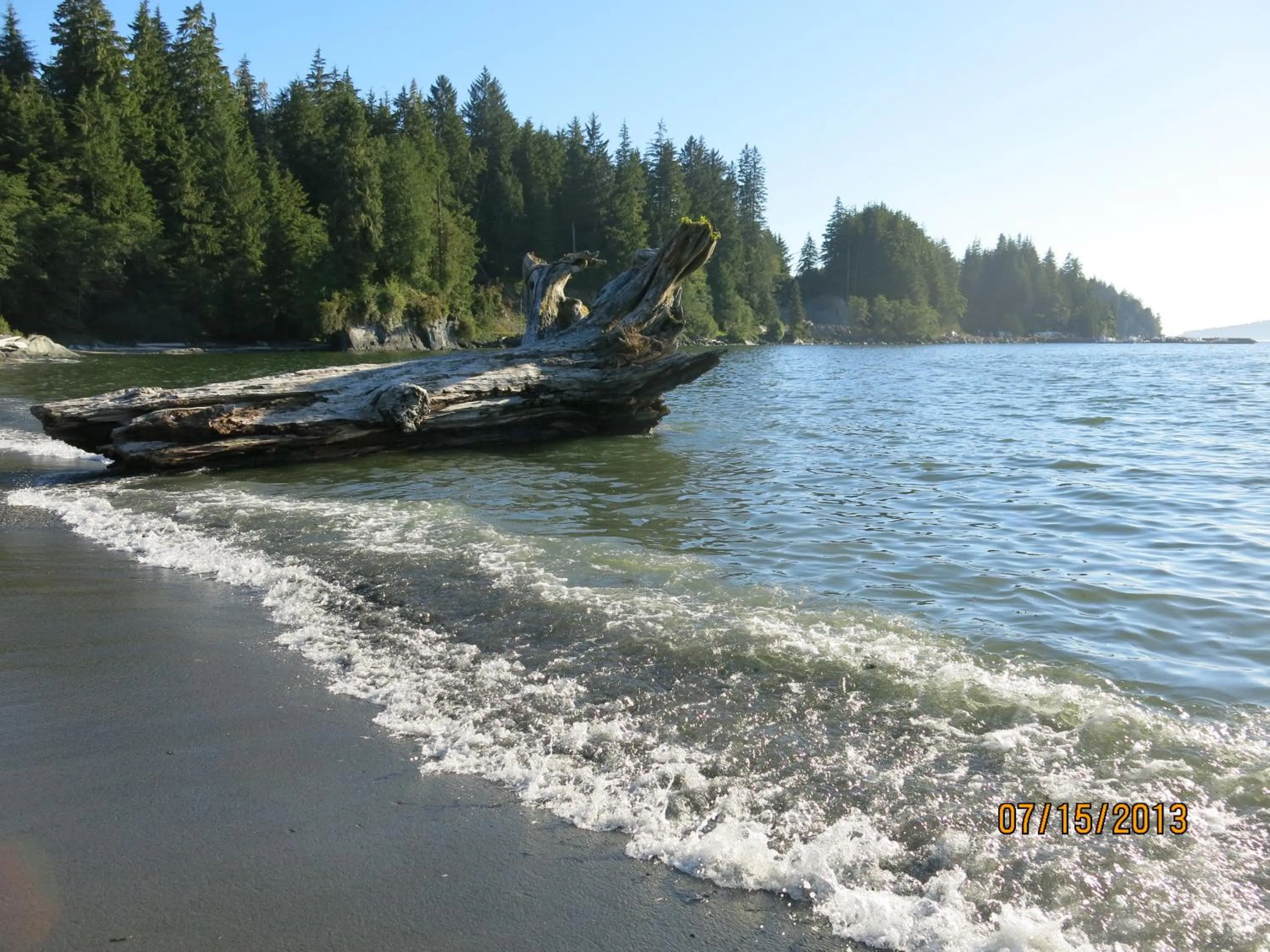 Natural landscape in A Shack In The Woods