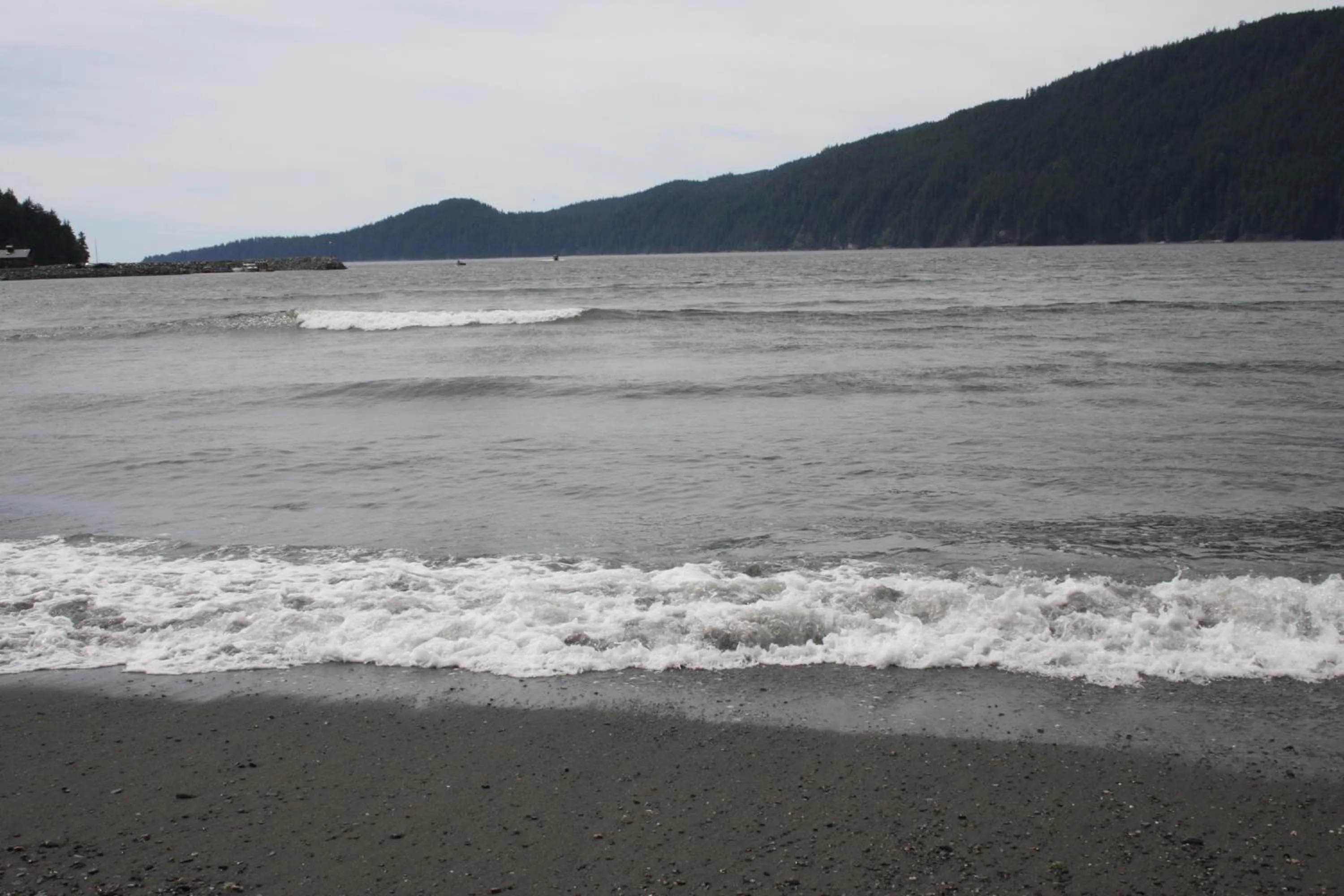 Beach in A Shack In The Woods
