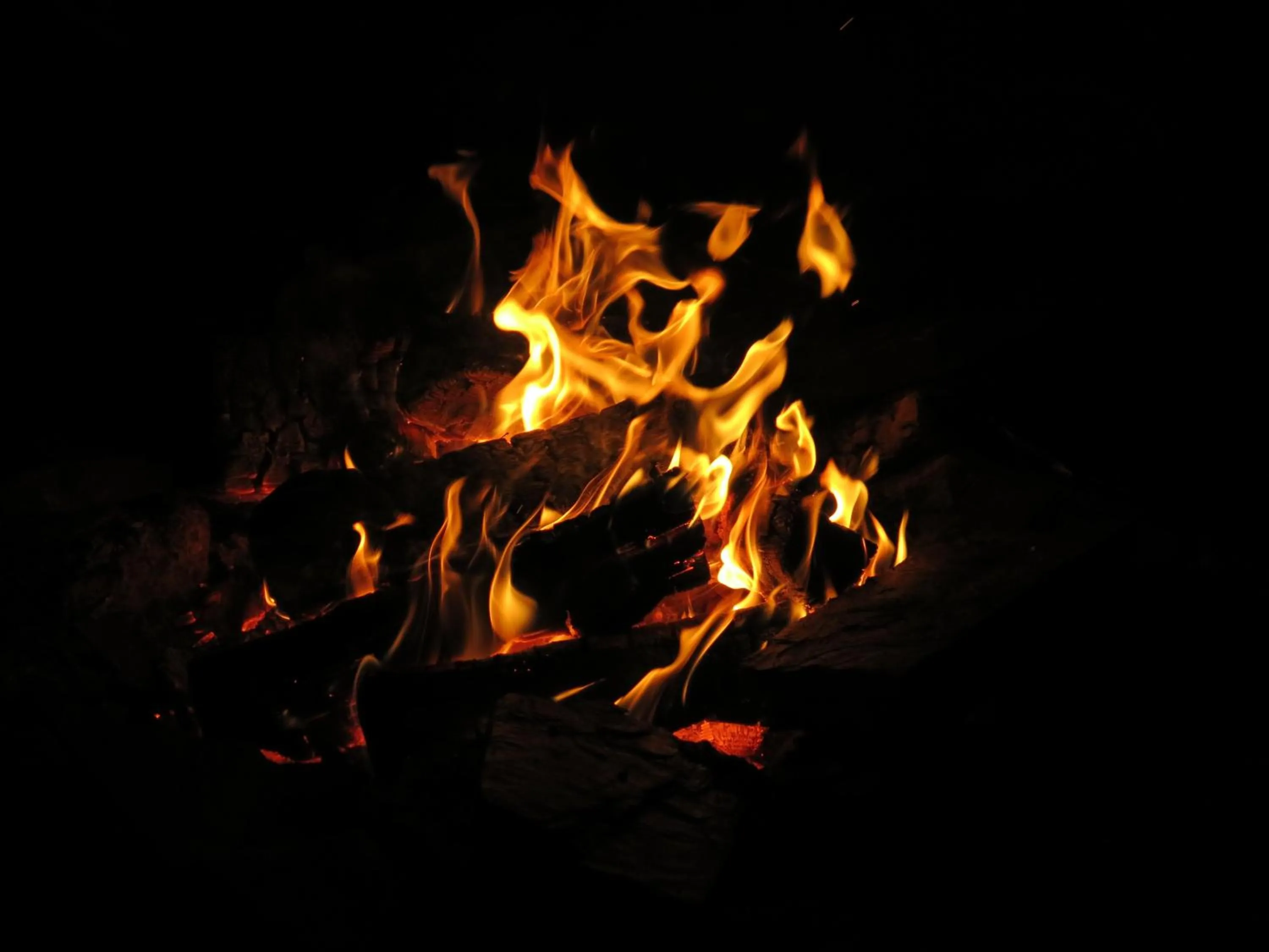 Activities in A Shack In The Woods