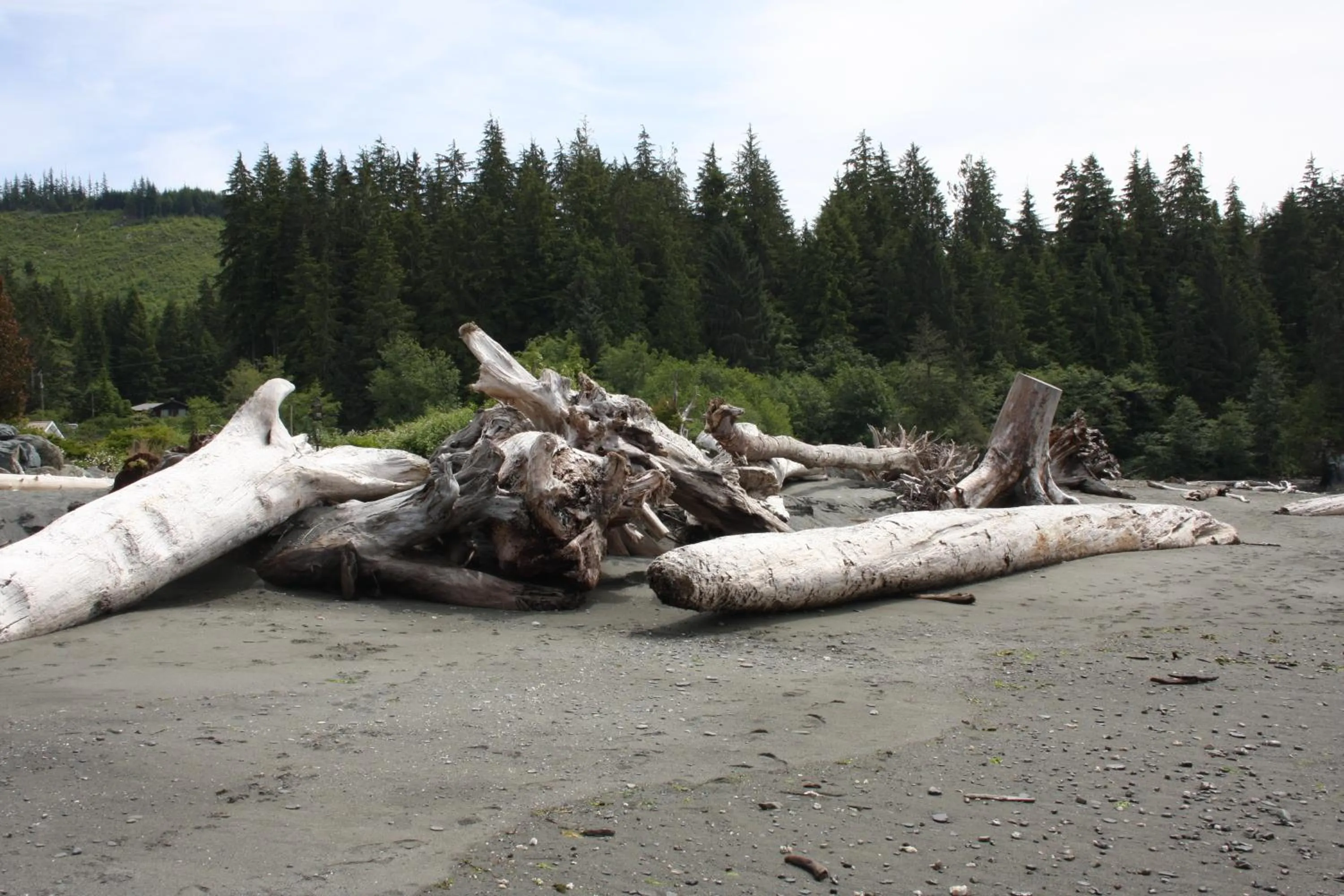 Natural landscape in A Shack In The Woods
