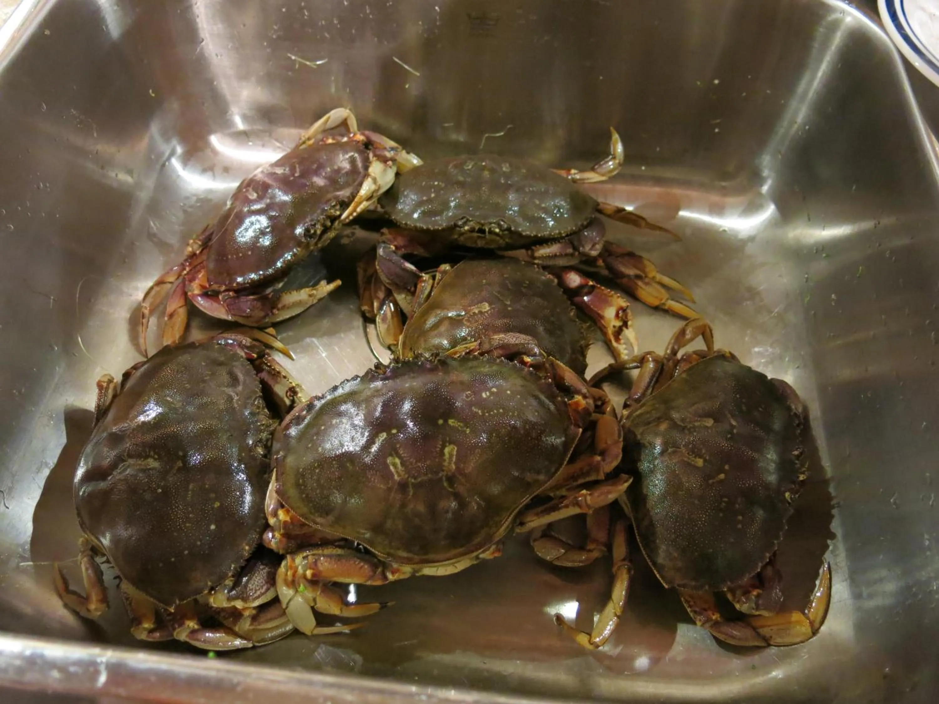 Food and drinks in A Shack In The Woods