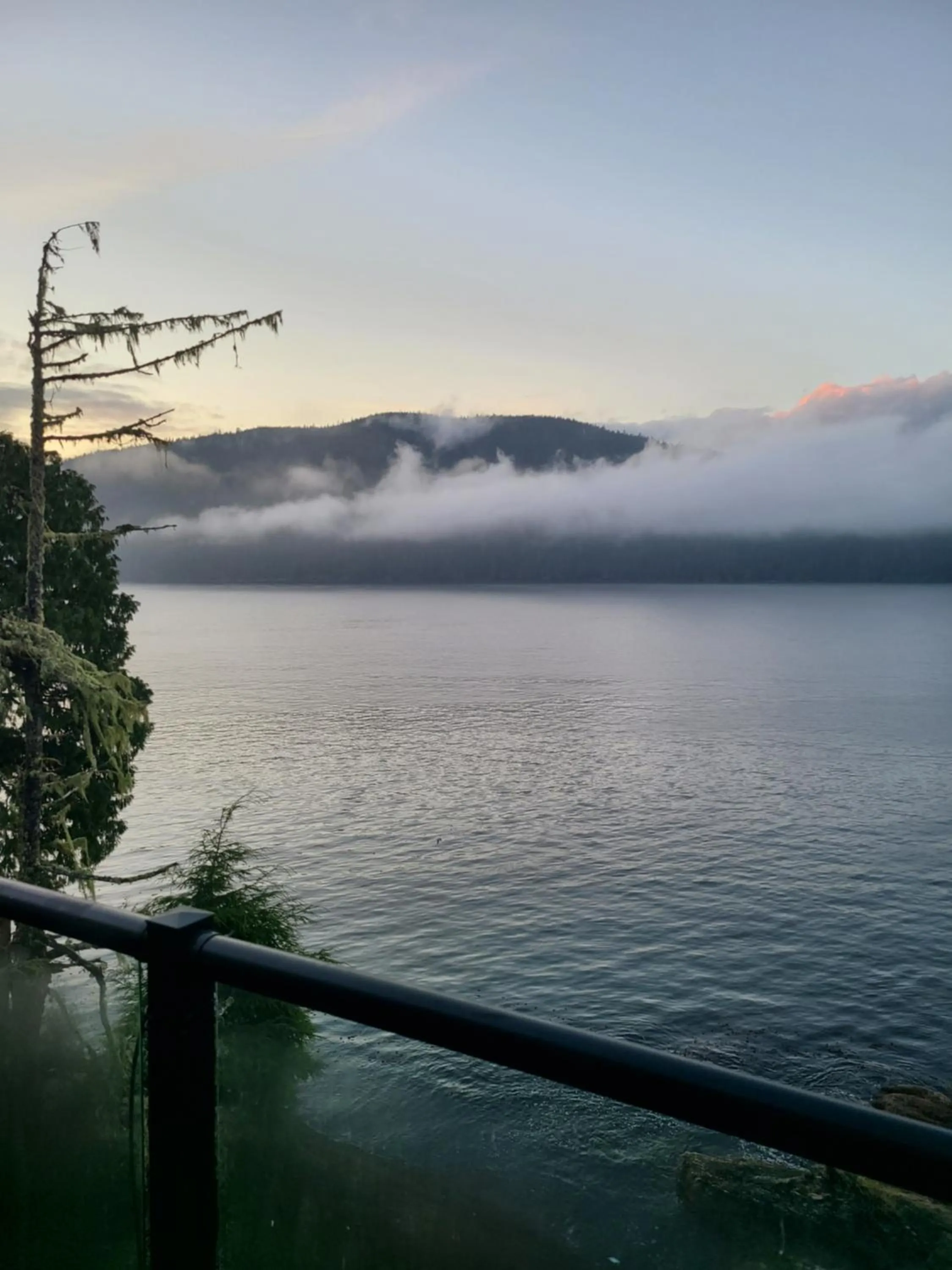 Natural landscape in A Shack In The Woods