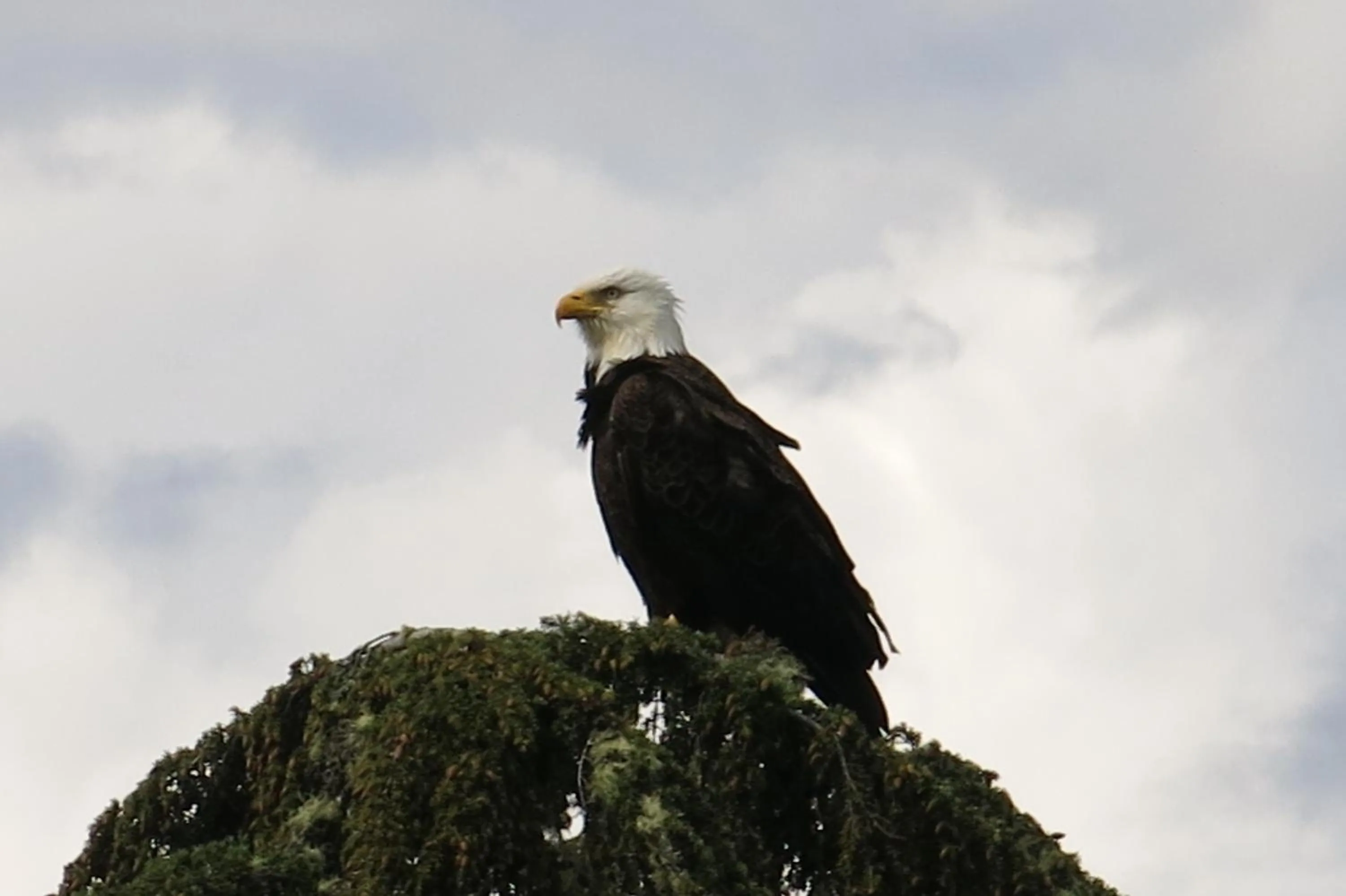 Other in A Shack In The Woods