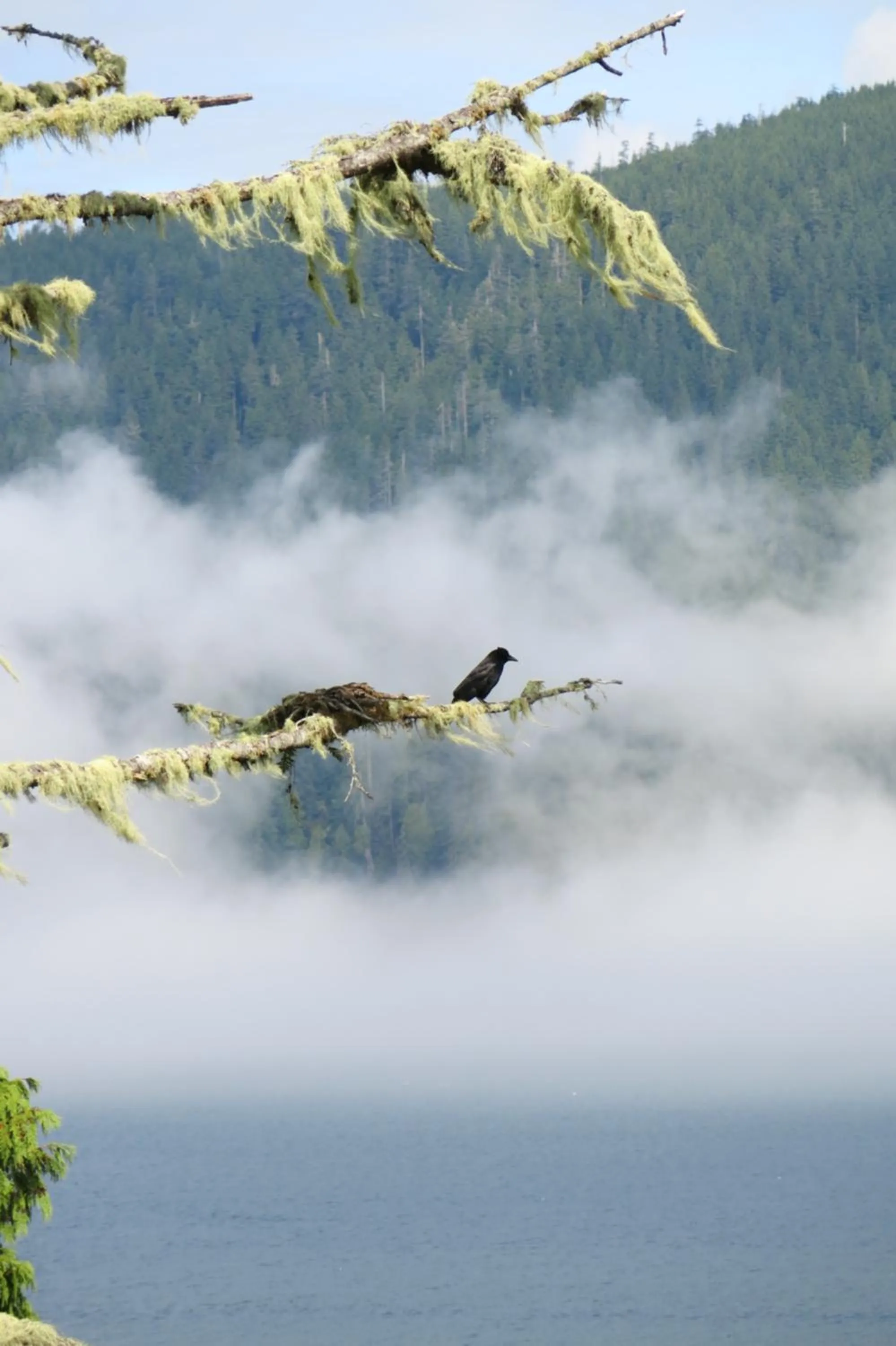 Natural landscape in A Shack In The Woods