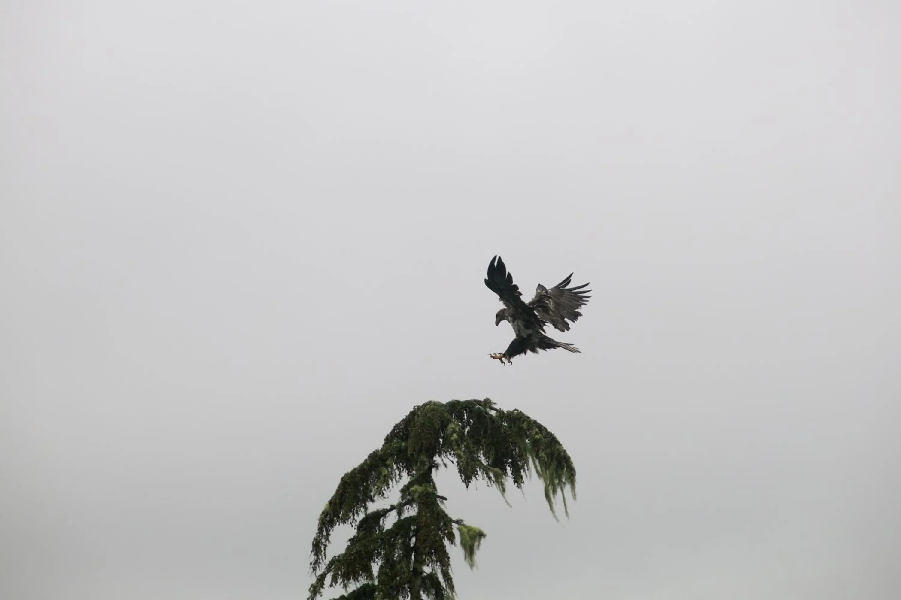 Natural landscape in A Shack In The Woods