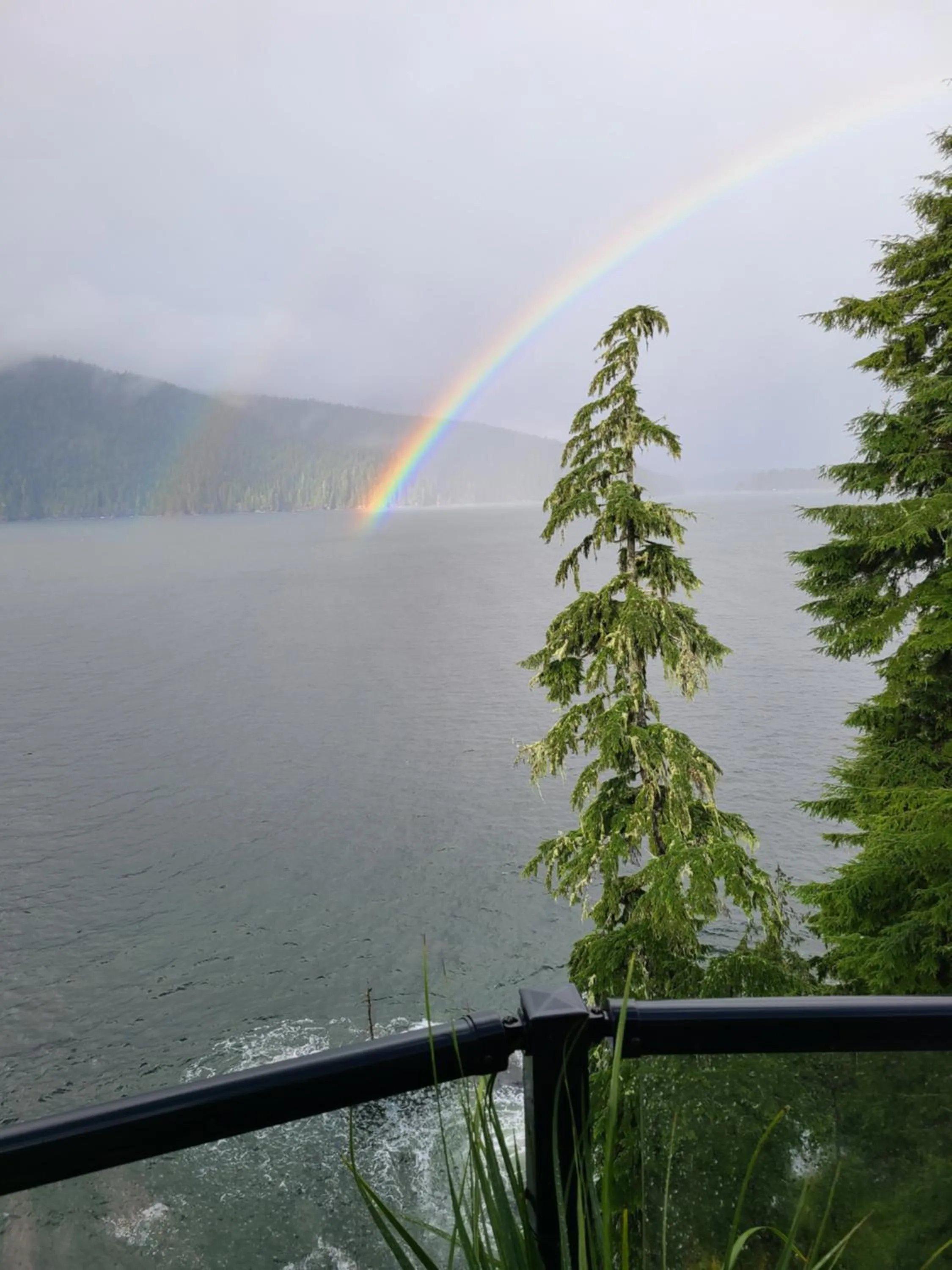 Natural landscape in A Shack In The Woods
