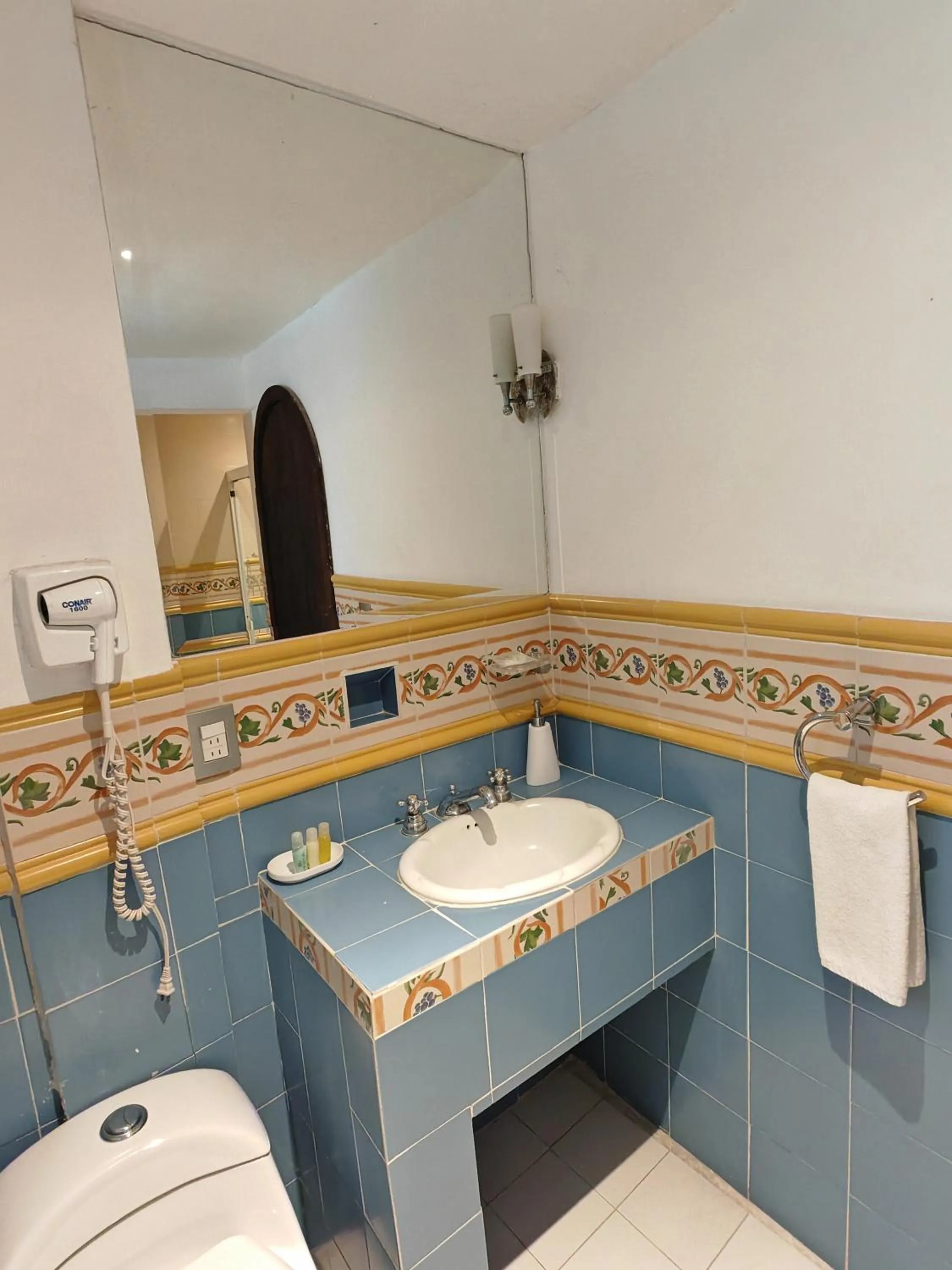 Toilet in Mansion Tepotzotlan