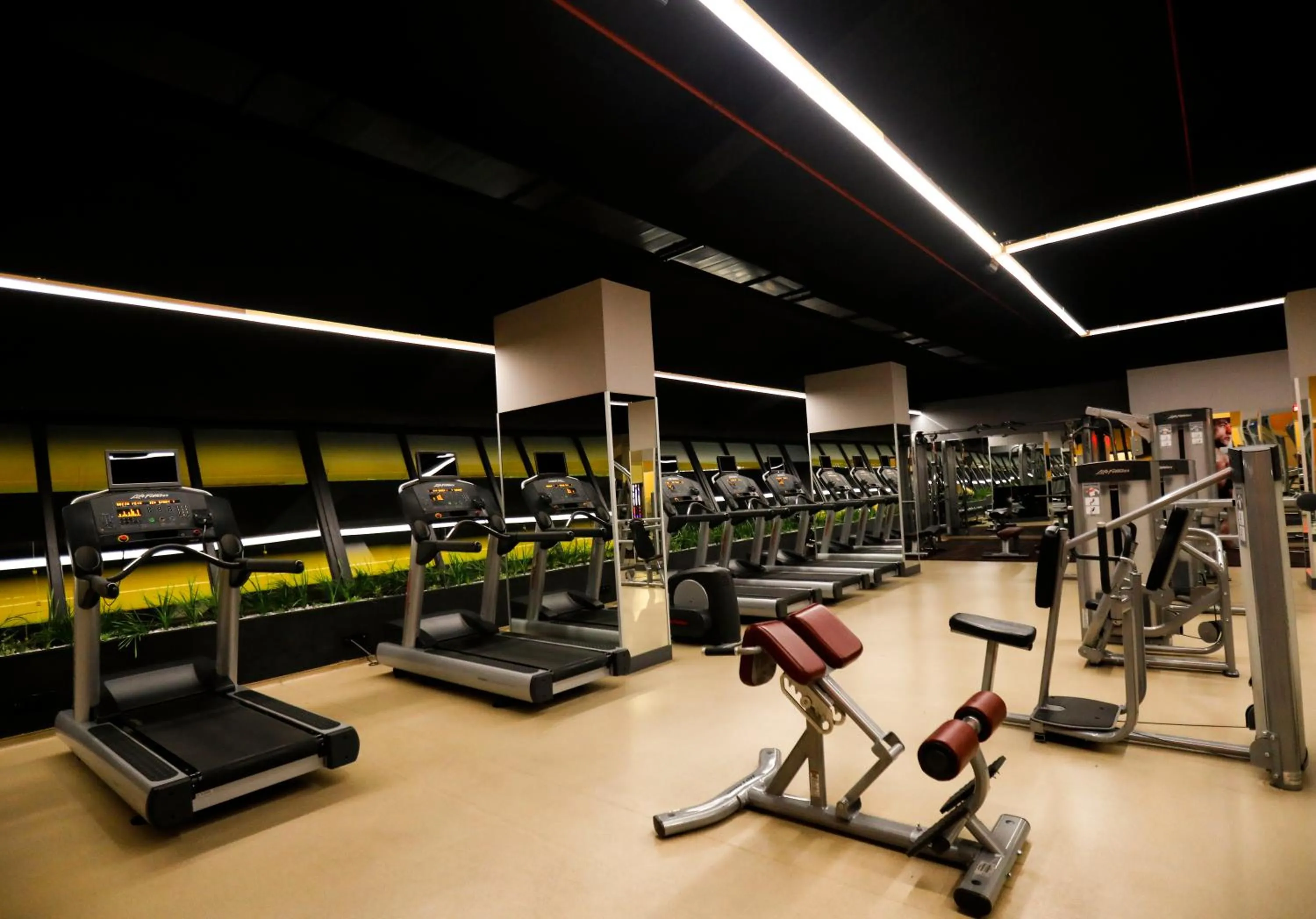 Fitness centre/facilities in Fier Life Center