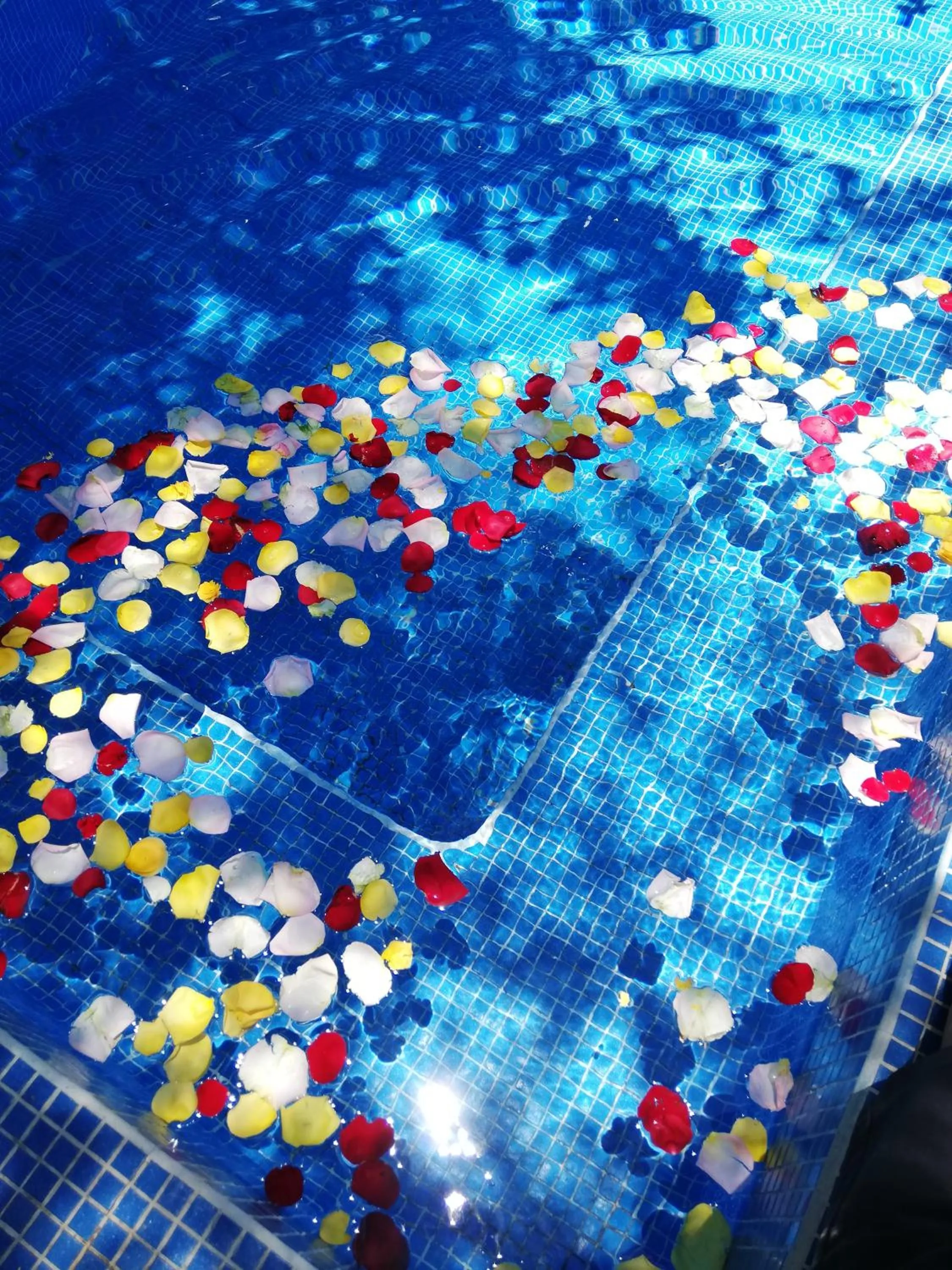 Solarium in Lila Hotel