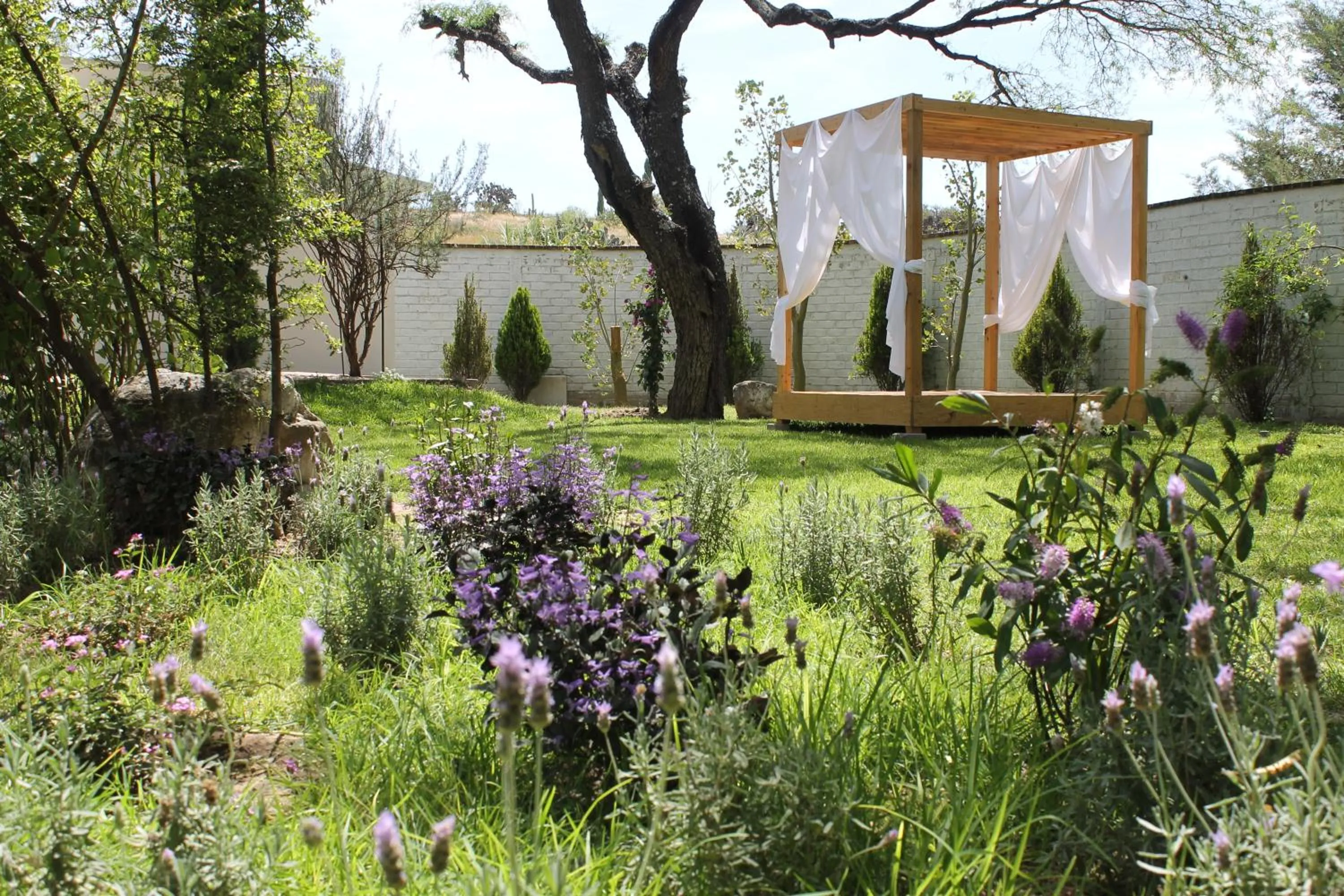 Garden in Lila Hotel