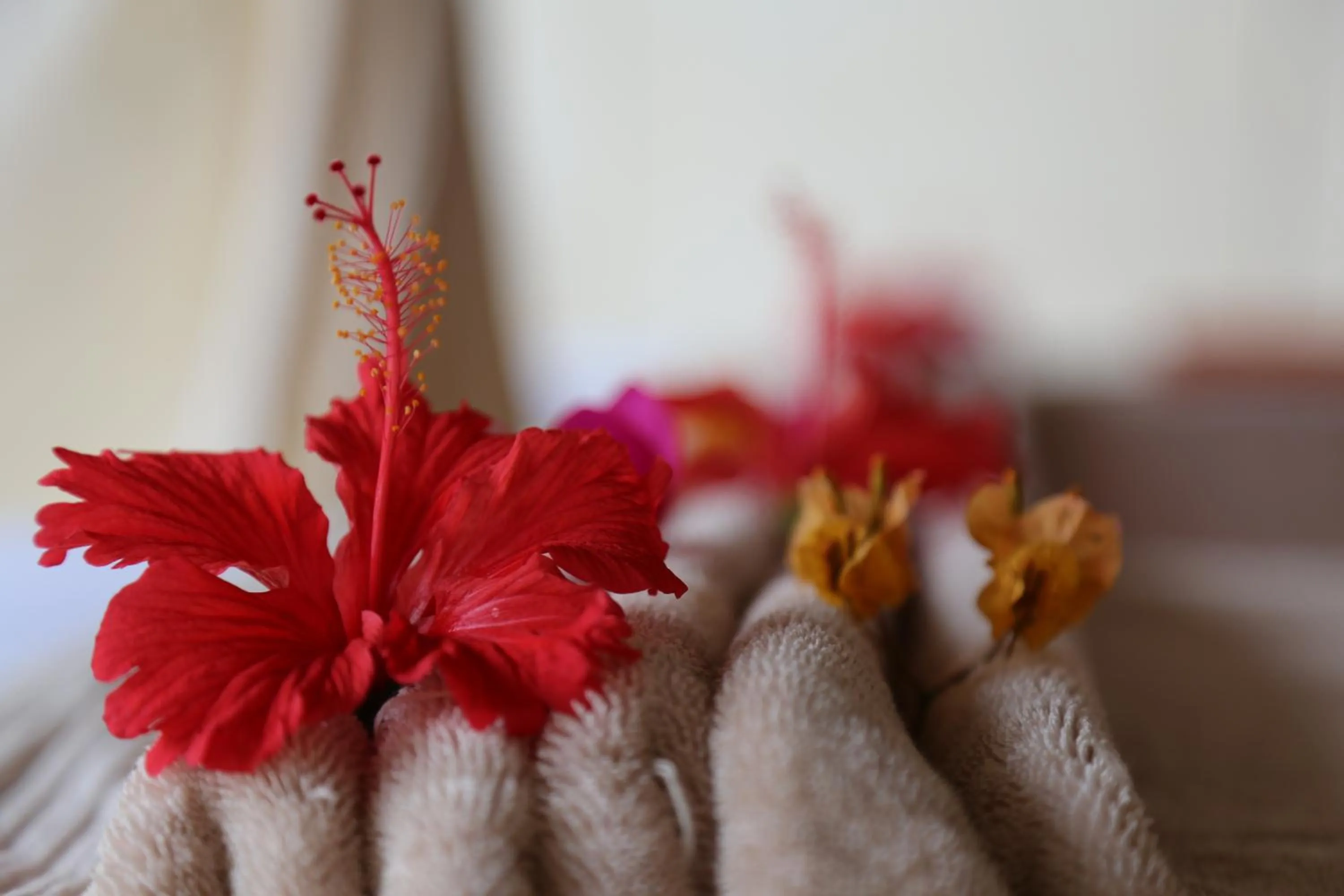 Decorative detail in Kigwedeni Villas