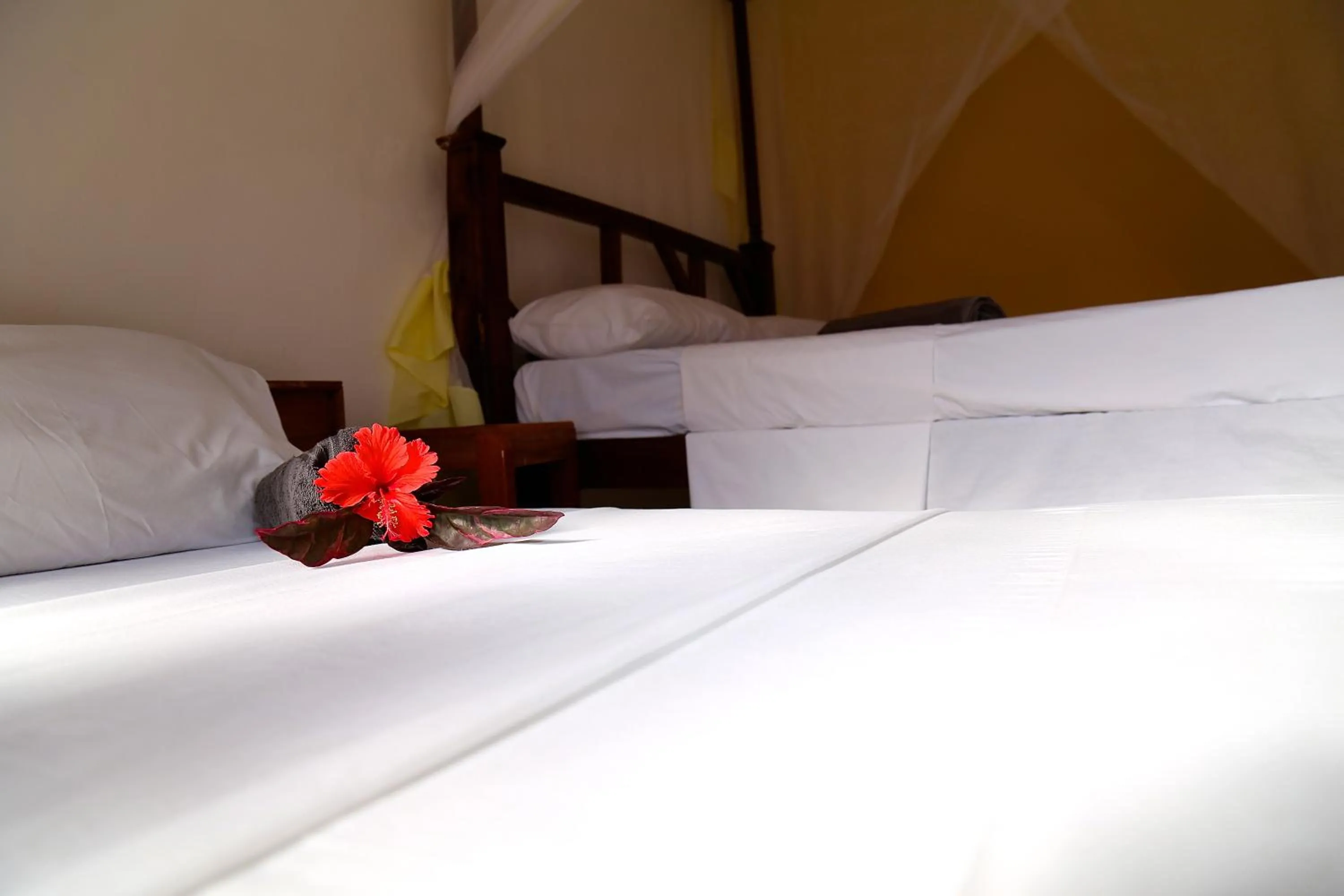 Bed in Kigwedeni Villas
