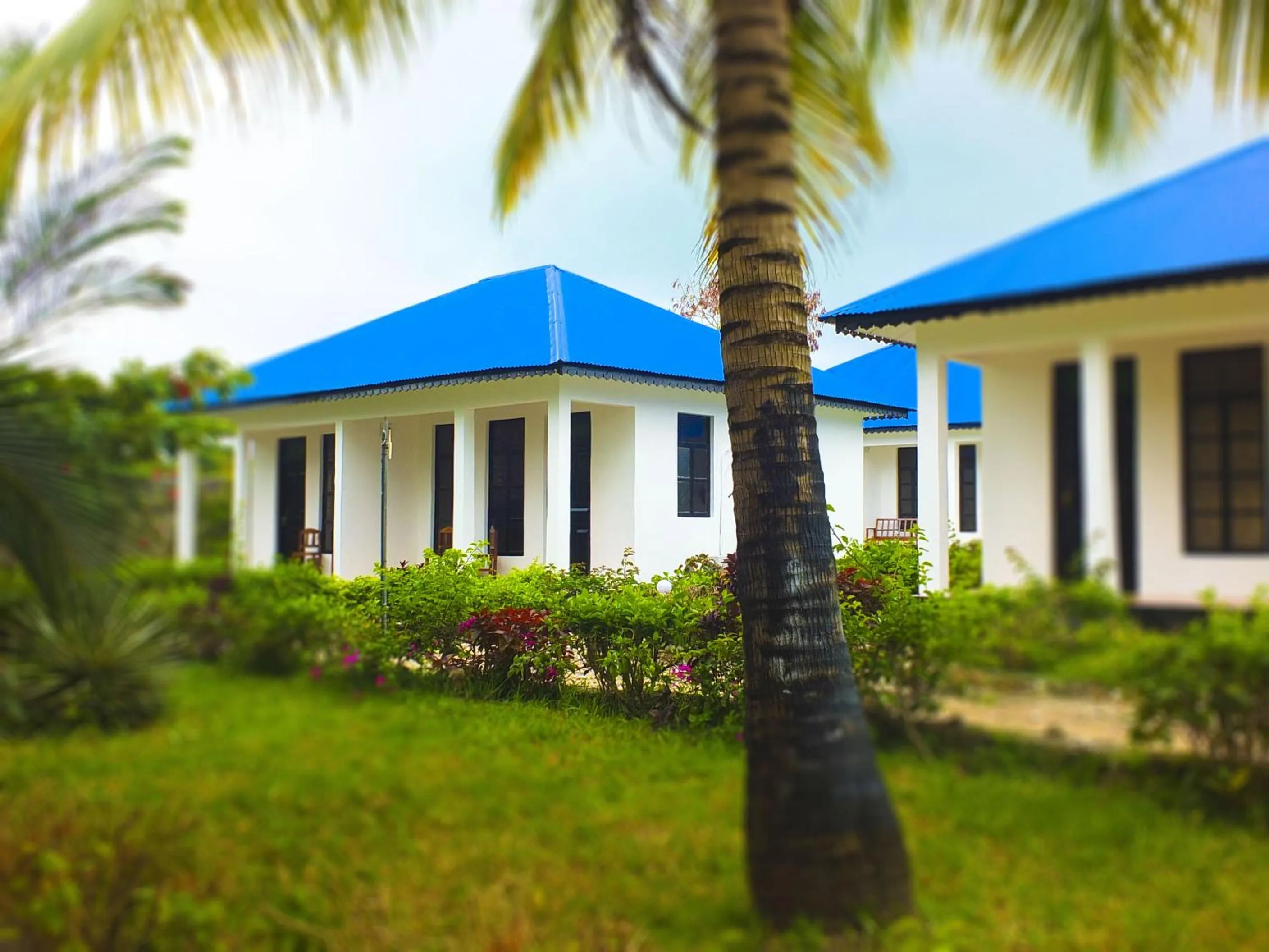 Garden in Kigwedeni Villas
