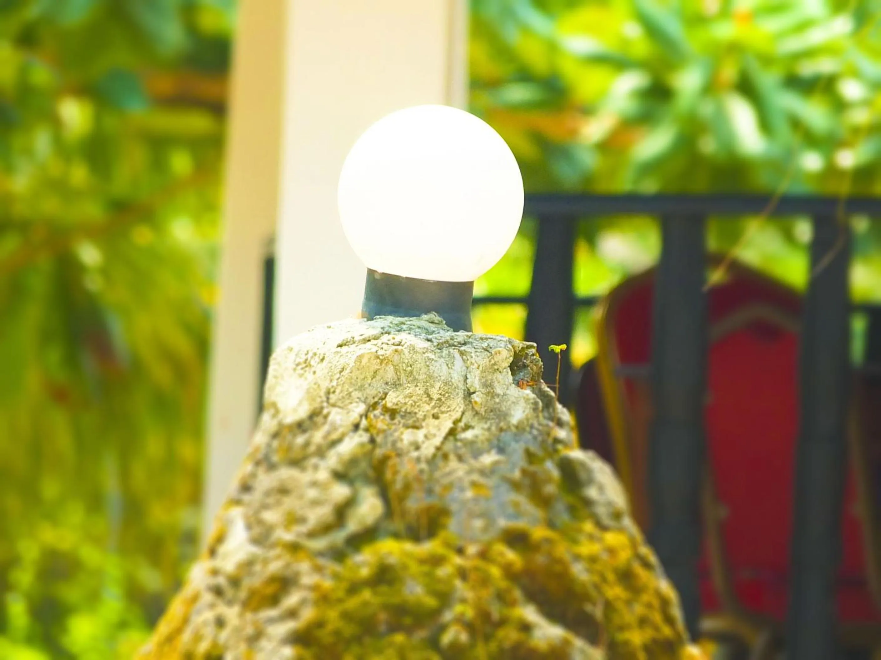 Garden in Kigwedeni Villas