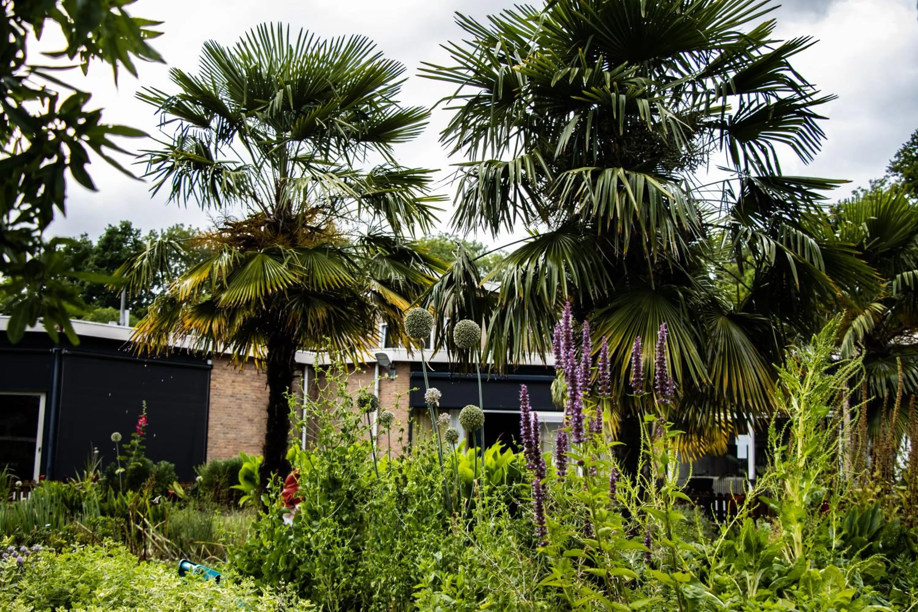 Garden in Hotel De Elderschans