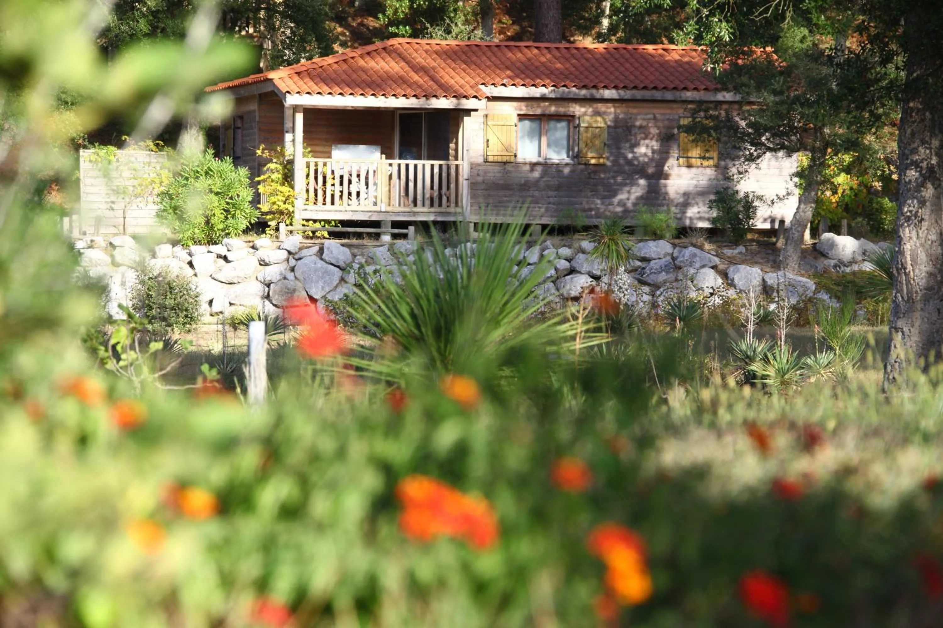 Photo of the whole room in Naturéo