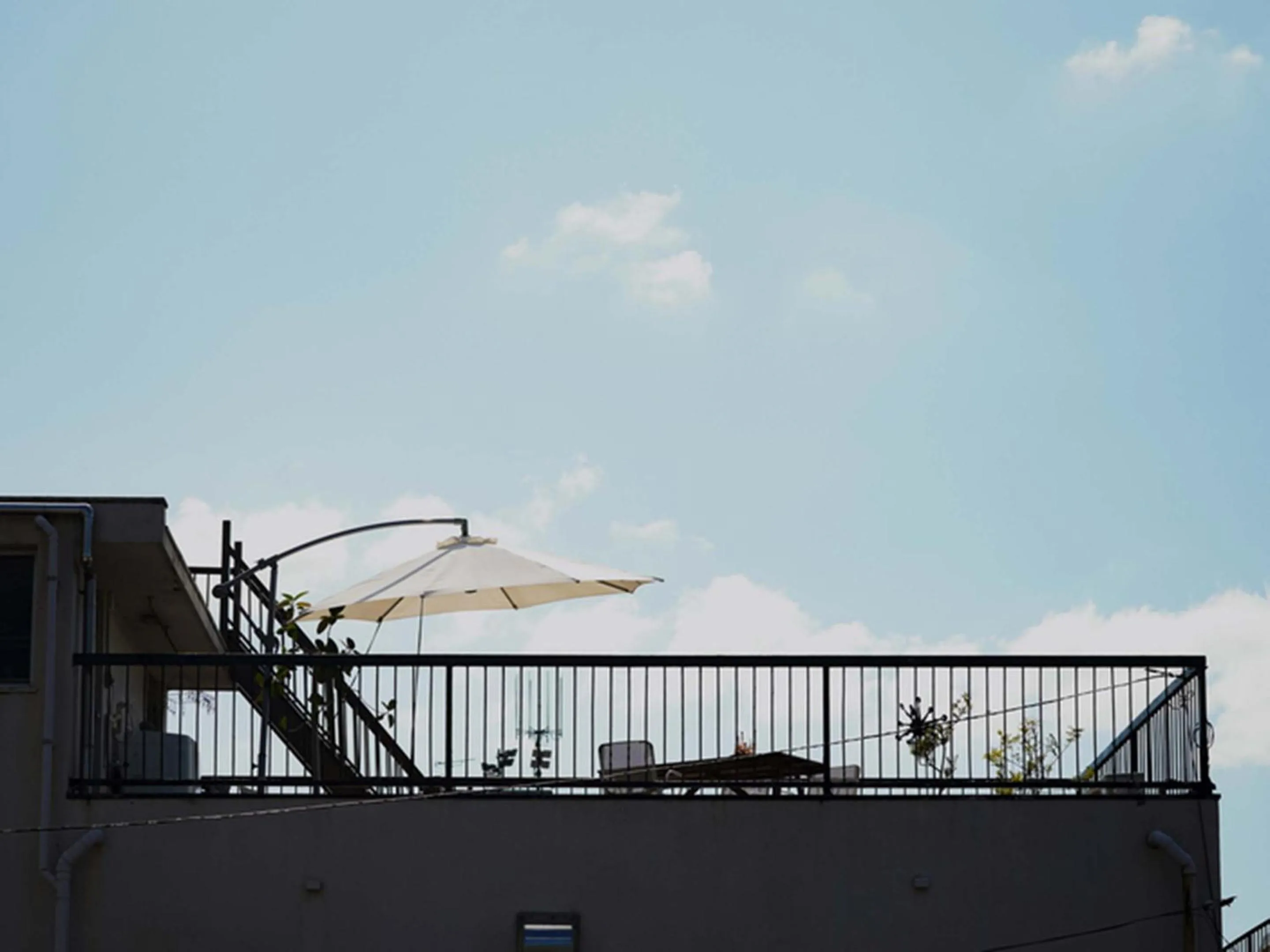 Area and facilities in ROUTE - Cafe and Petit Hostel