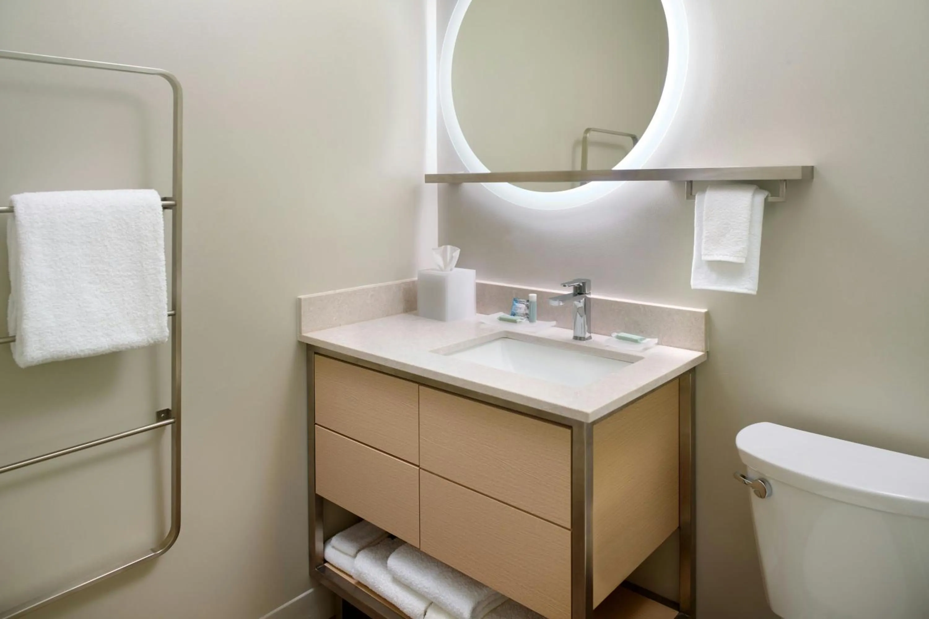 Bathroom in TownePlace Suites by Marriott Locust Grove