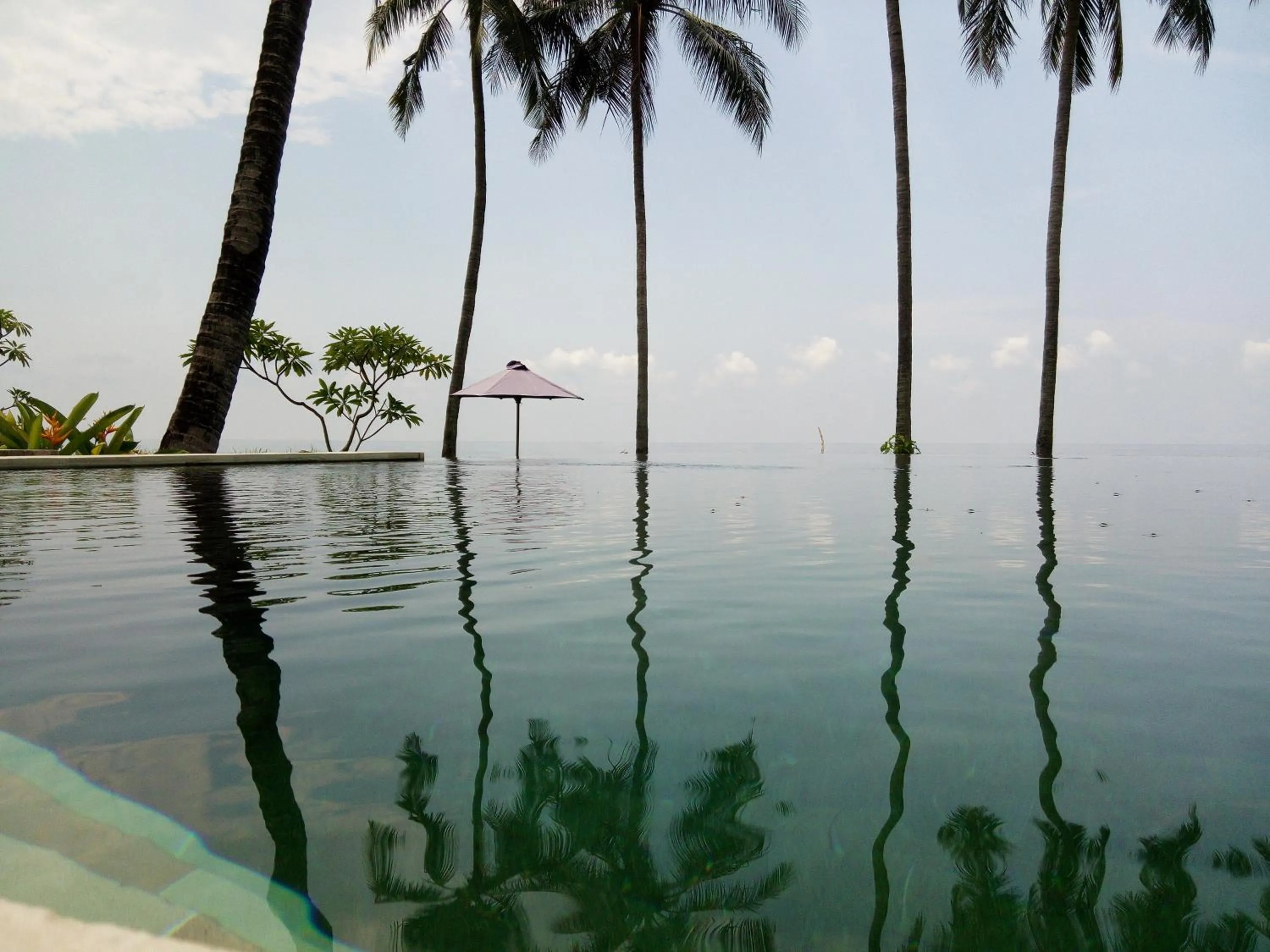 Pool view in The Amrita - Salt Farm Villas