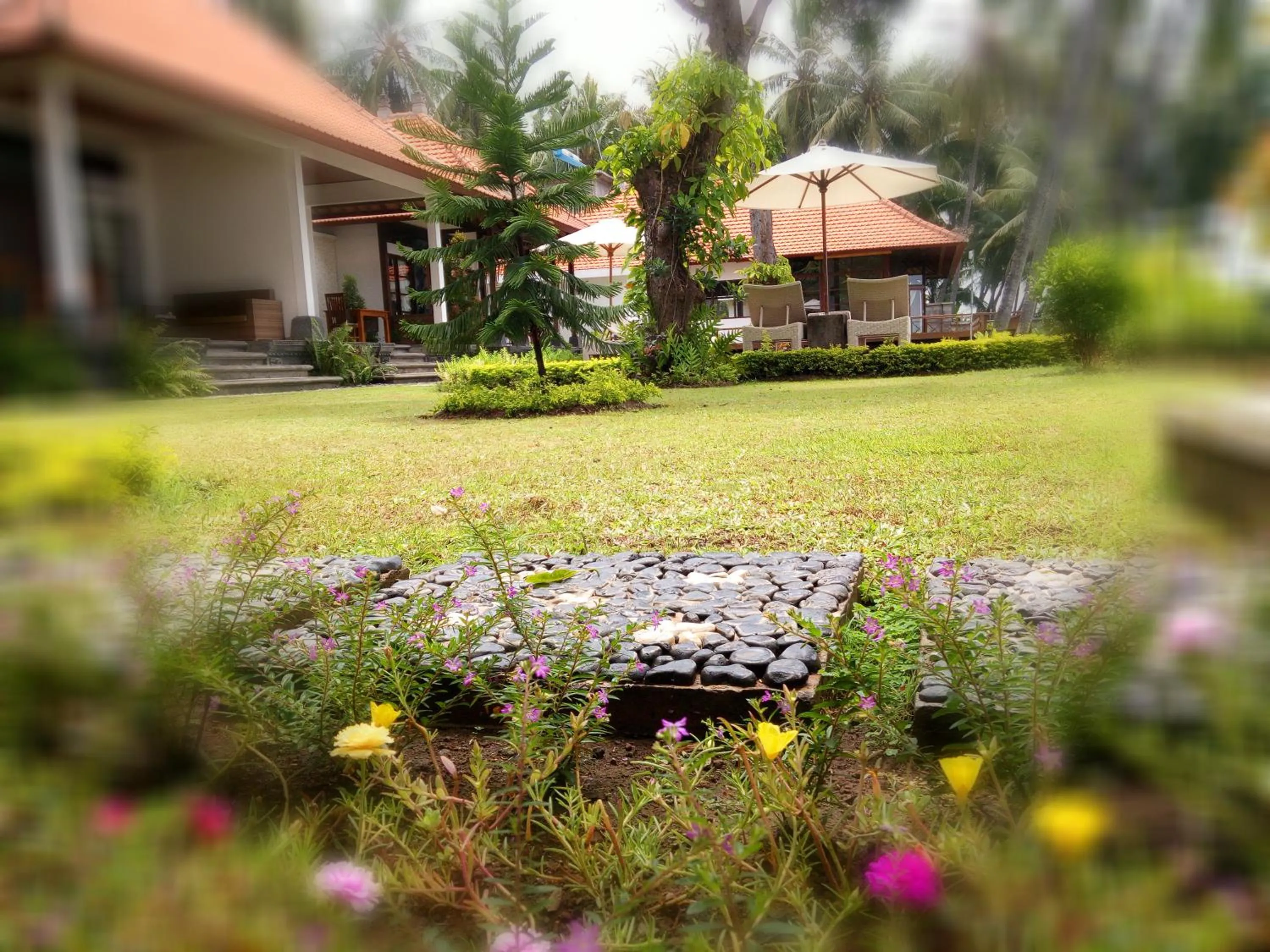 Garden view in The Amrita - Salt Farm Villas