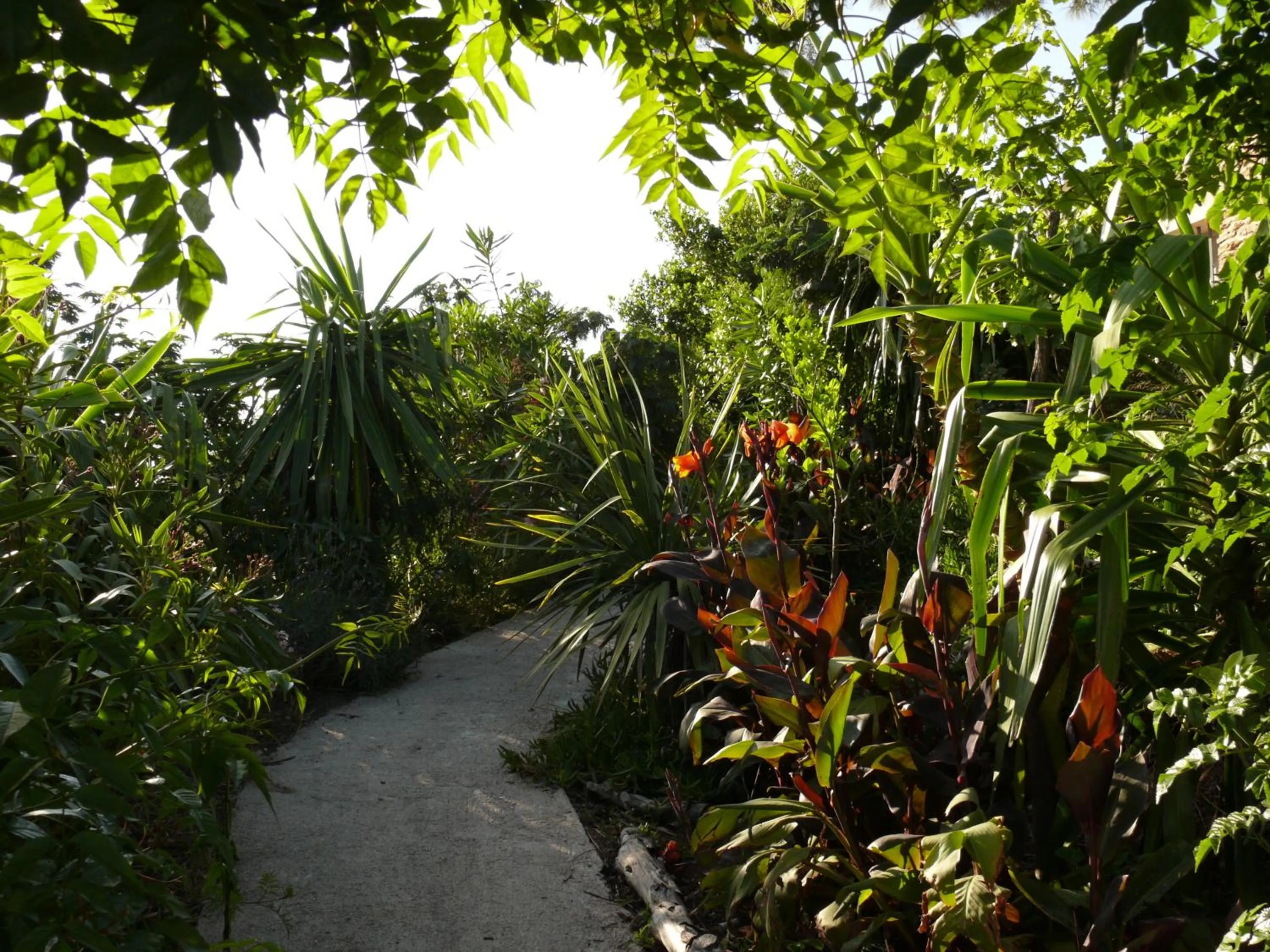 Garden in La Coccinelle