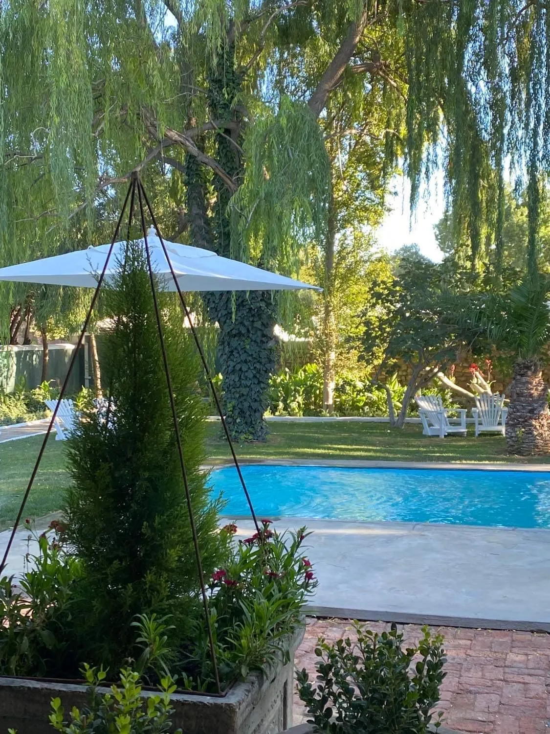 Garden in The Hanover Luxury Hotel