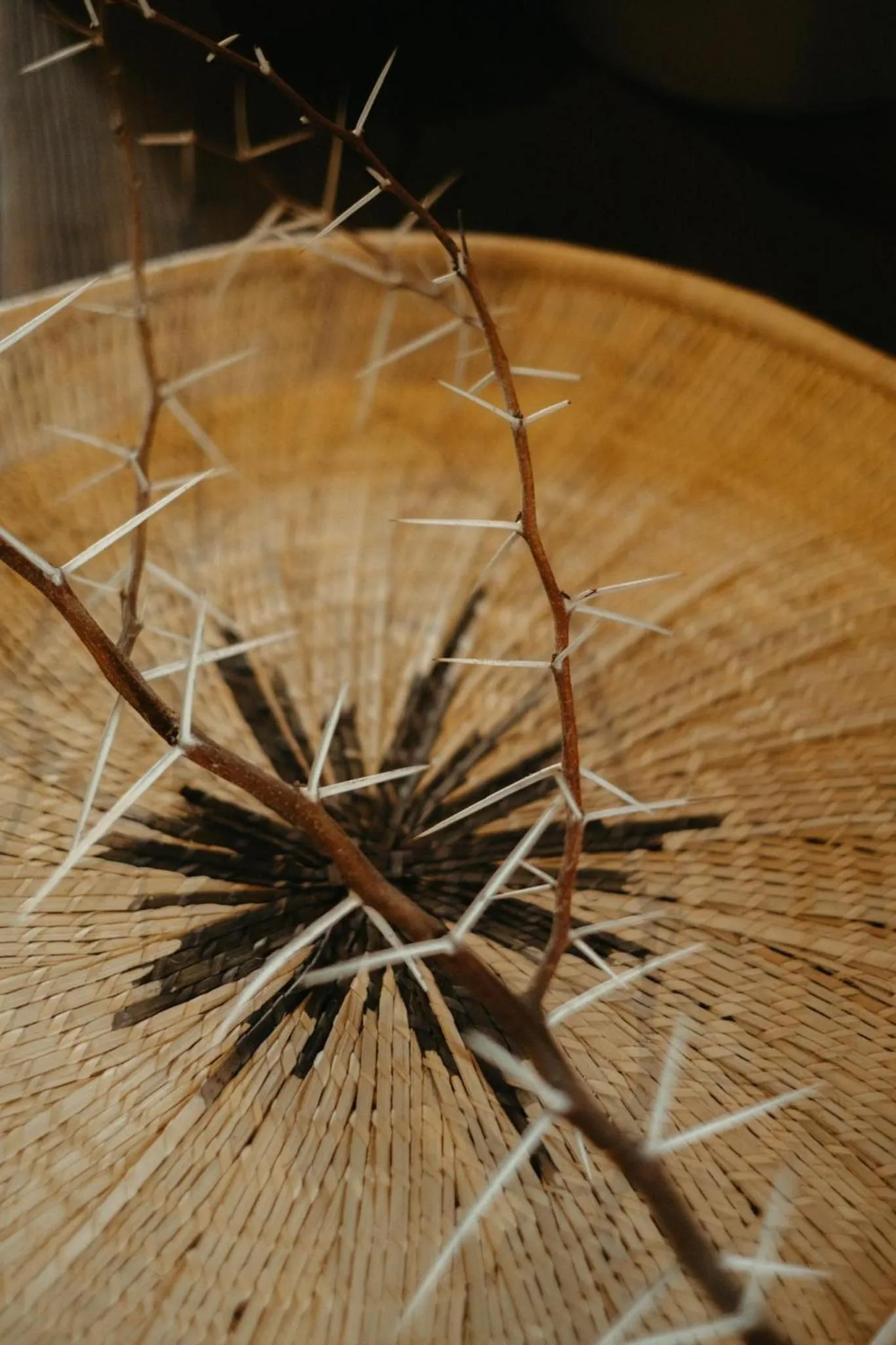 Decorative detail in The Hanover Luxury Hotel