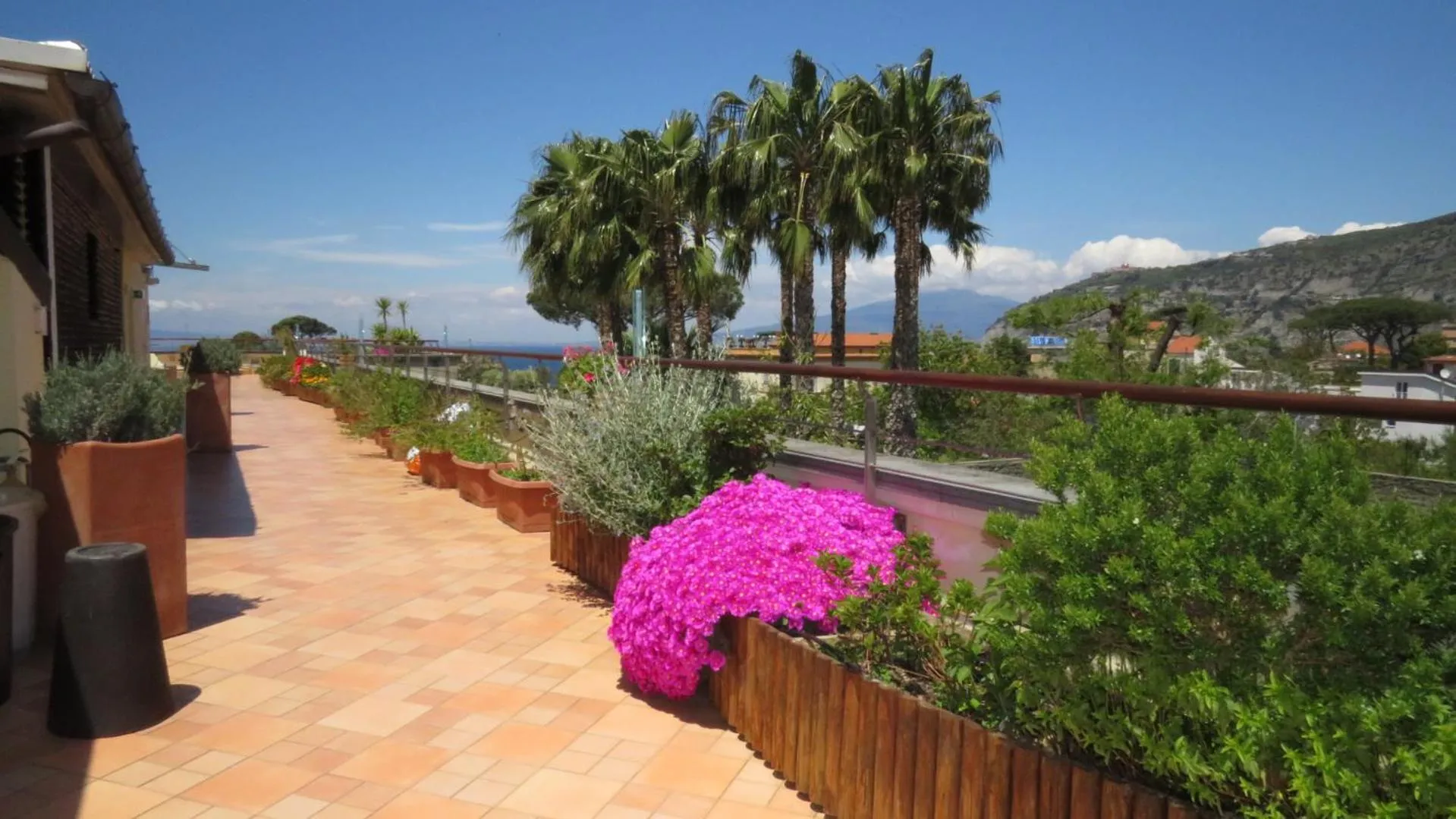 Garden view in Seven Hostel & Rooms