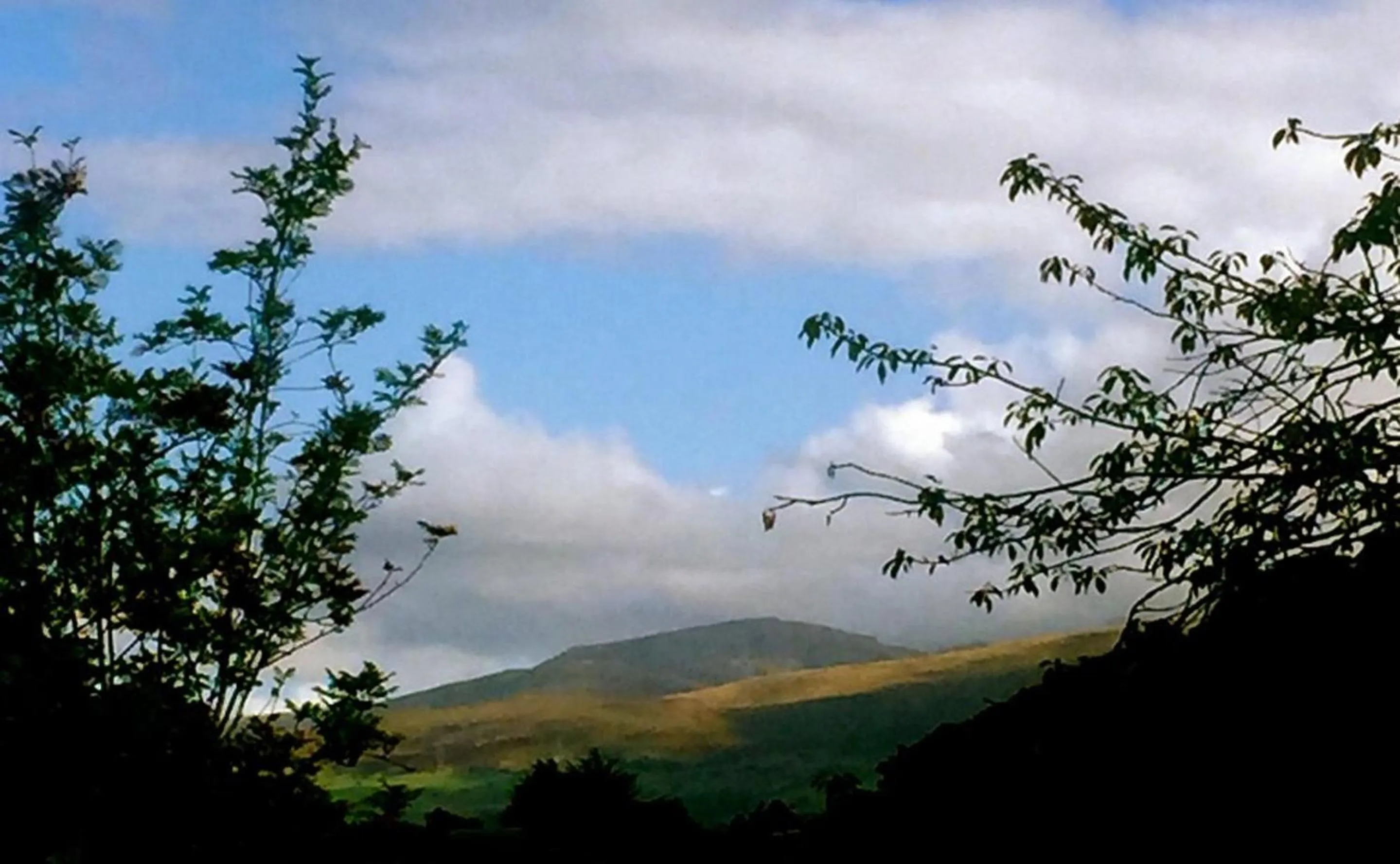 Nearby landmark in Baytree Lodge