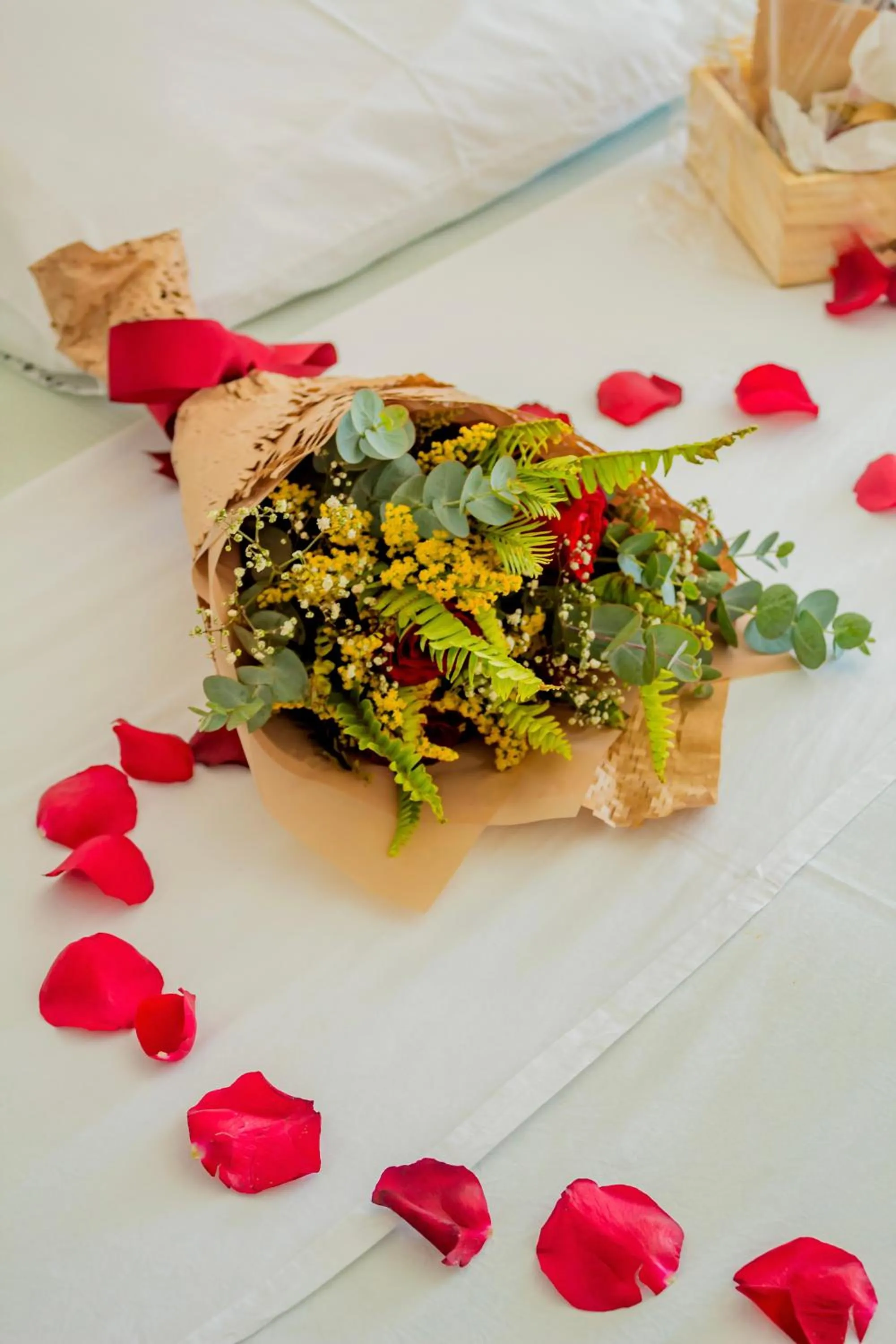 Hotel Paraiso Natal - Beira Mar