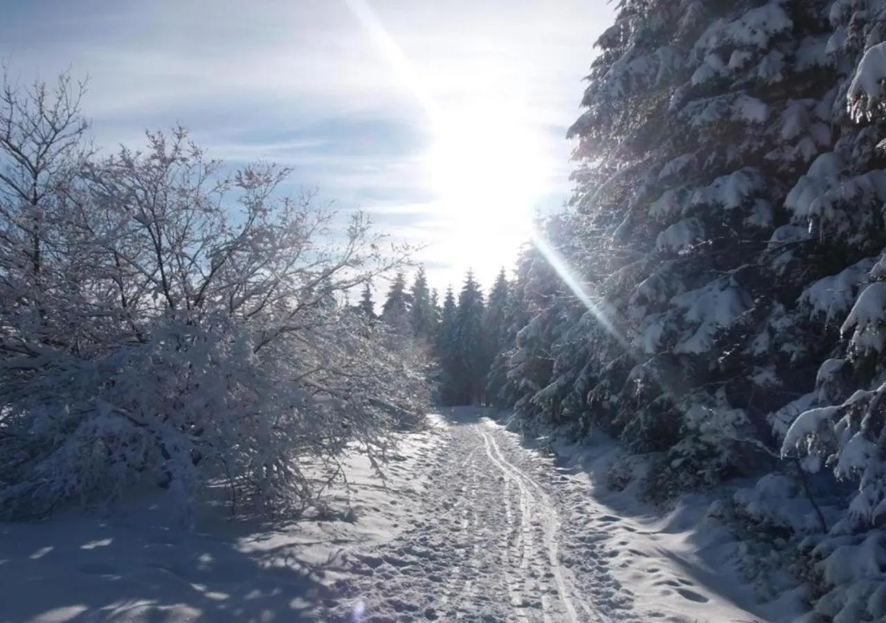 Natural landscape in Hôtel Belair "Ravel Etape"