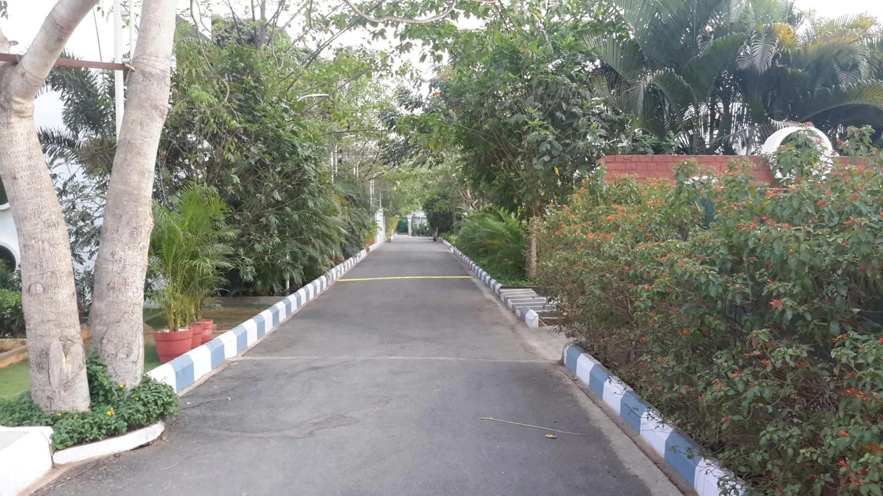 Business facilities in Mrugavani Resort & Spa