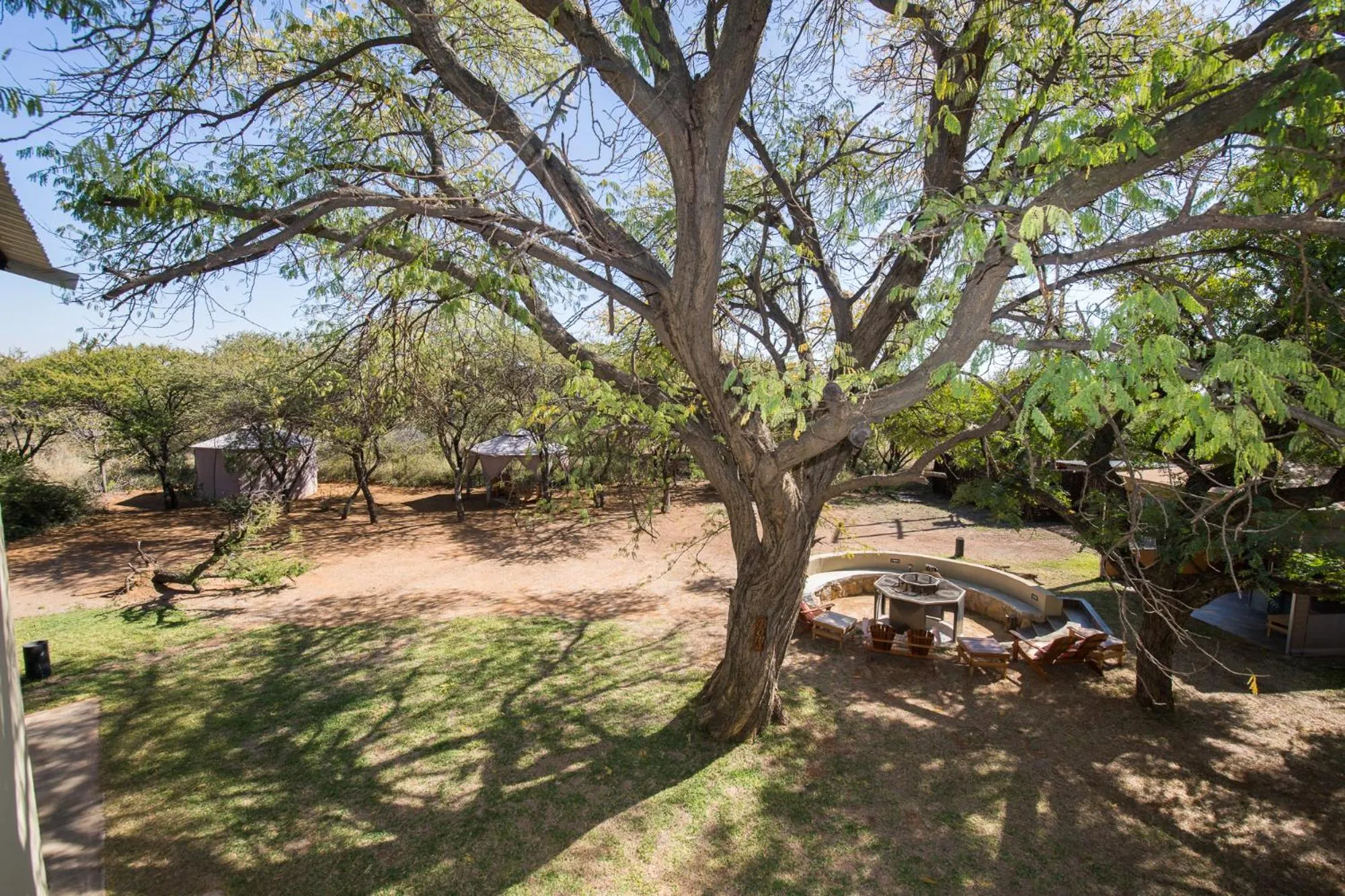 Garden in Foreva Wild