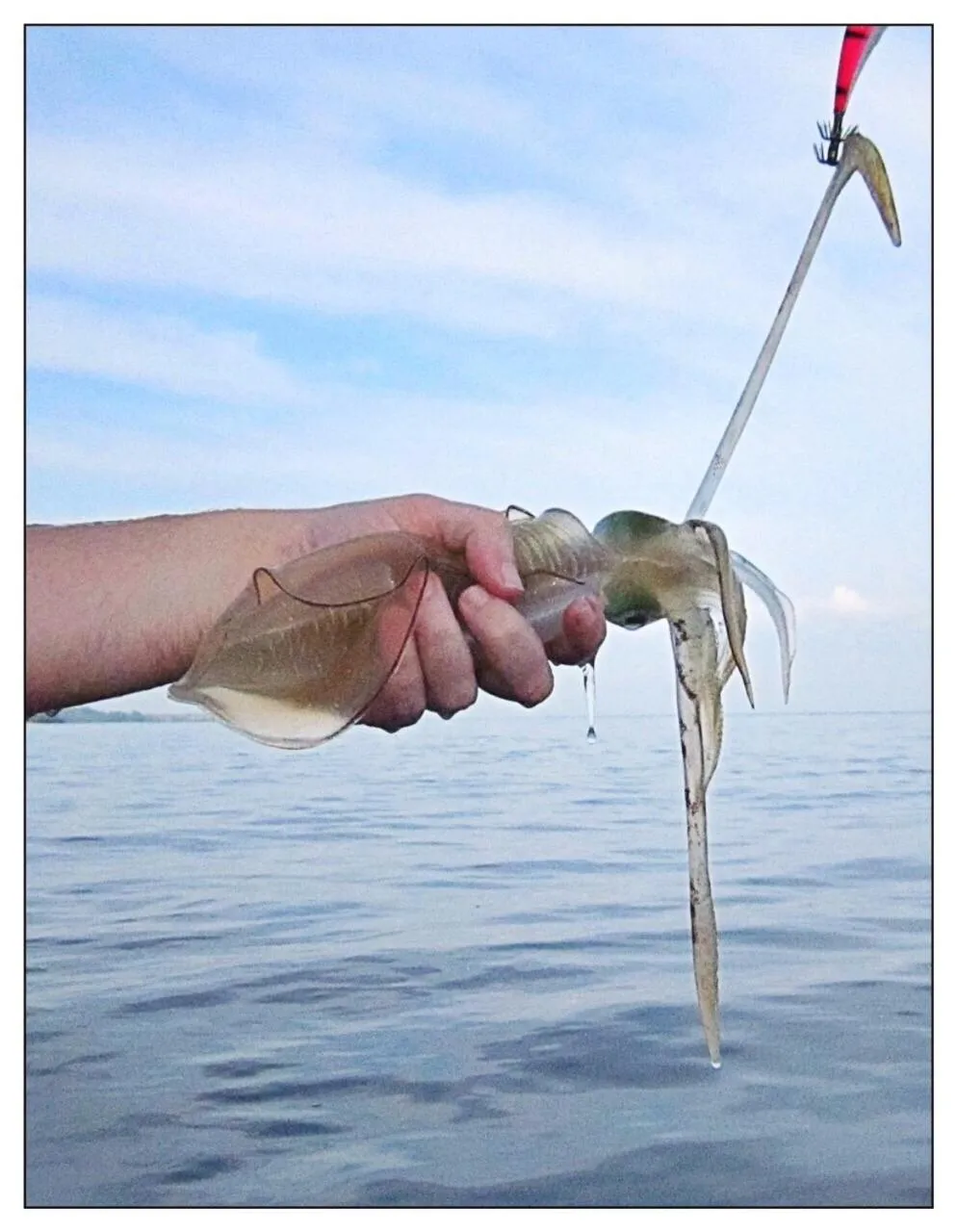 Other in Ta-Lay Time KohMak