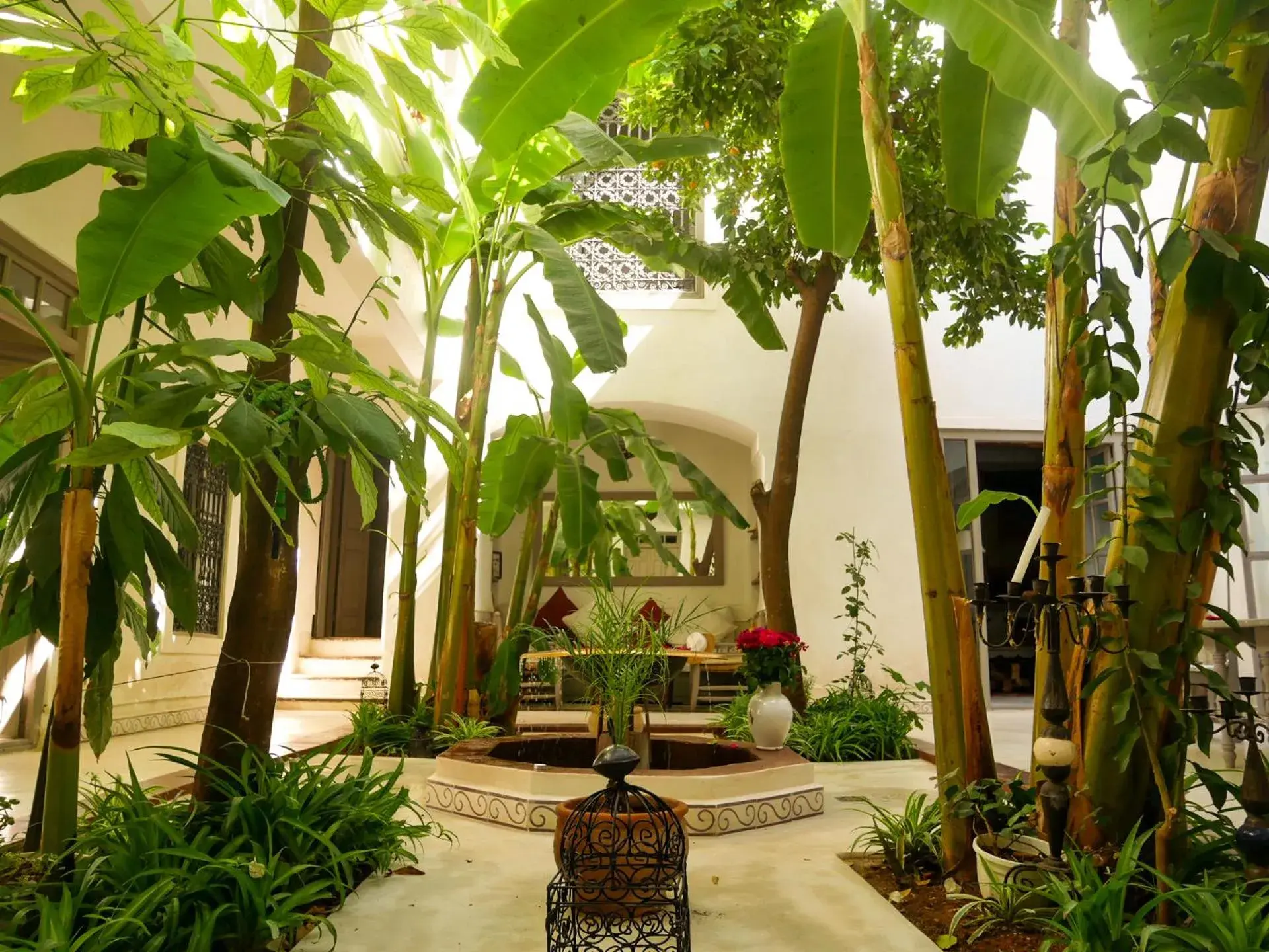 Riad Dar Aman Riad Dar Aman