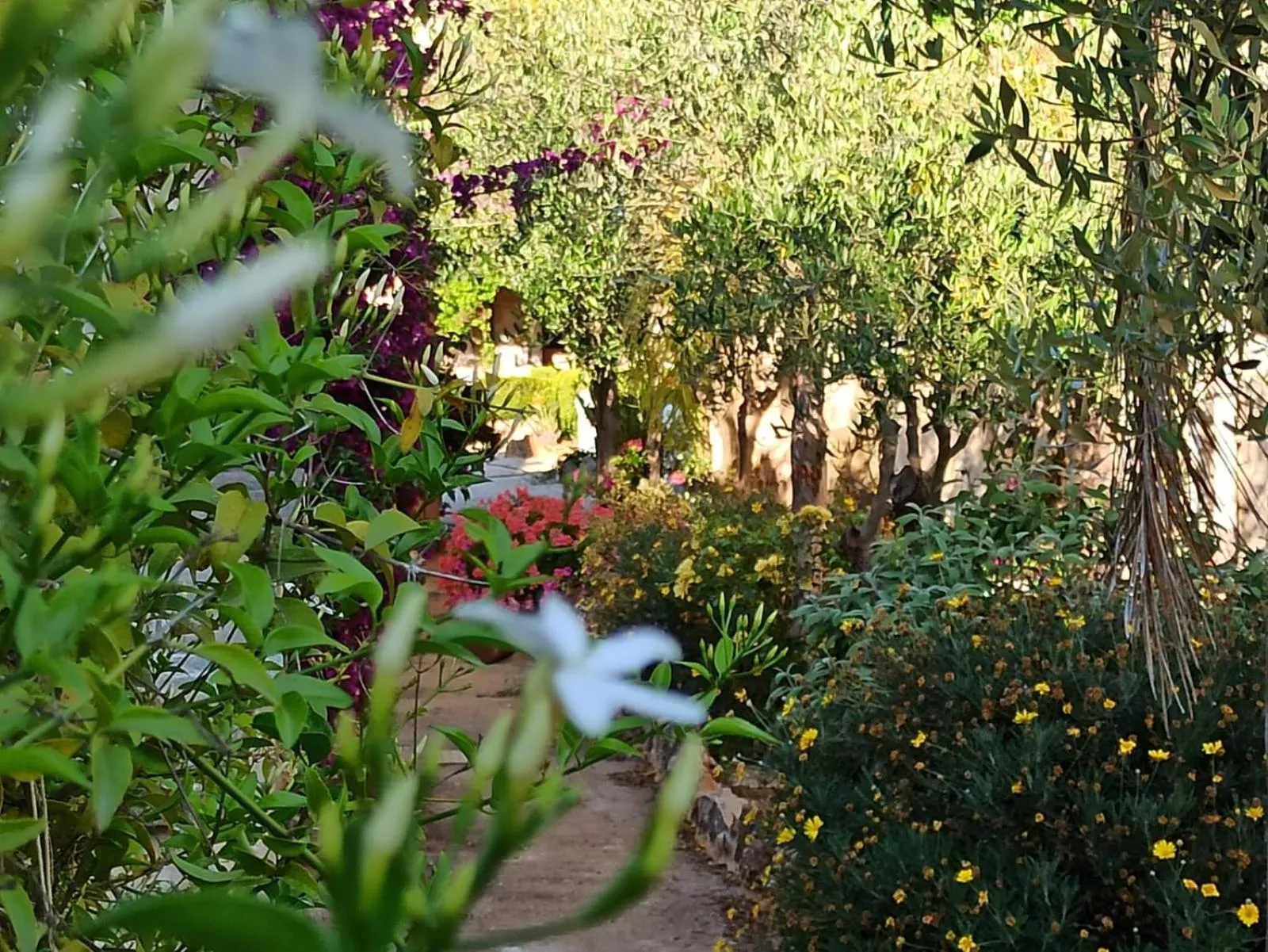 Agriturismo Tenuta Mazzetta