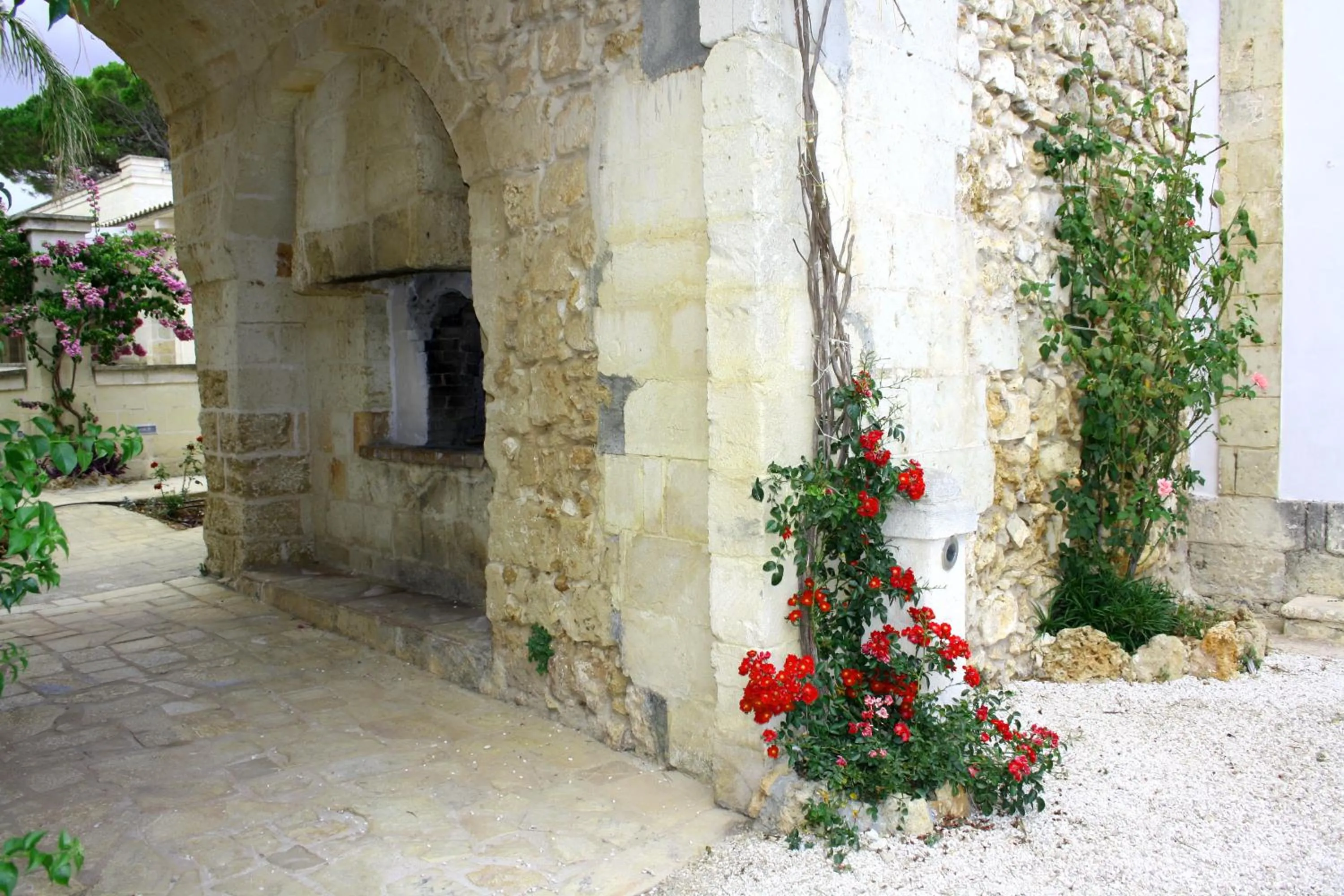 Garden in Agriturismo Tenuta Mazzetta