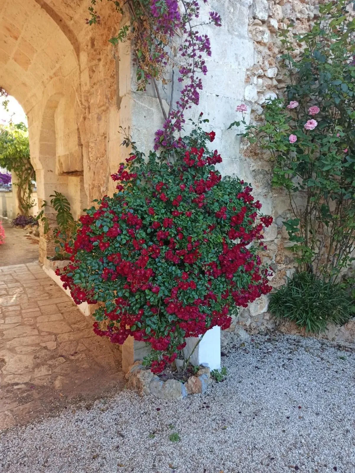 Agriturismo Tenuta Mazzetta