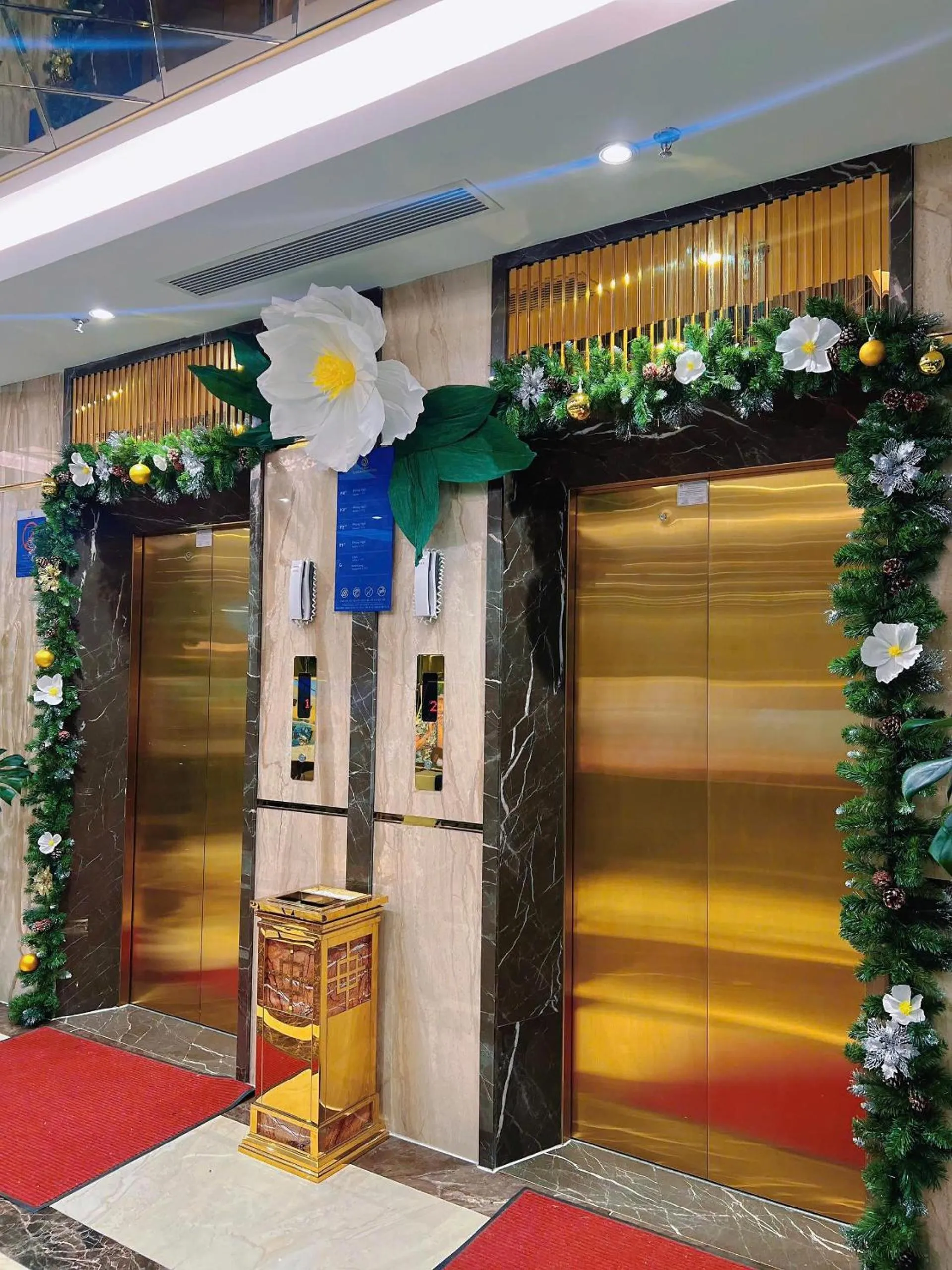 elevator in Sandals Mimosa