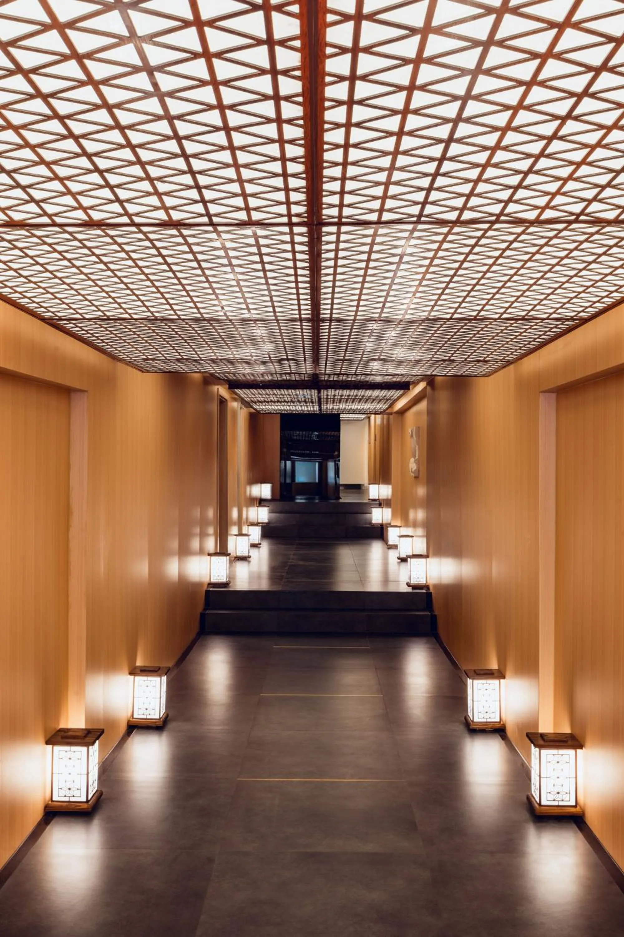 Hot Spring Bath in Kin Hotel Onsen Edition