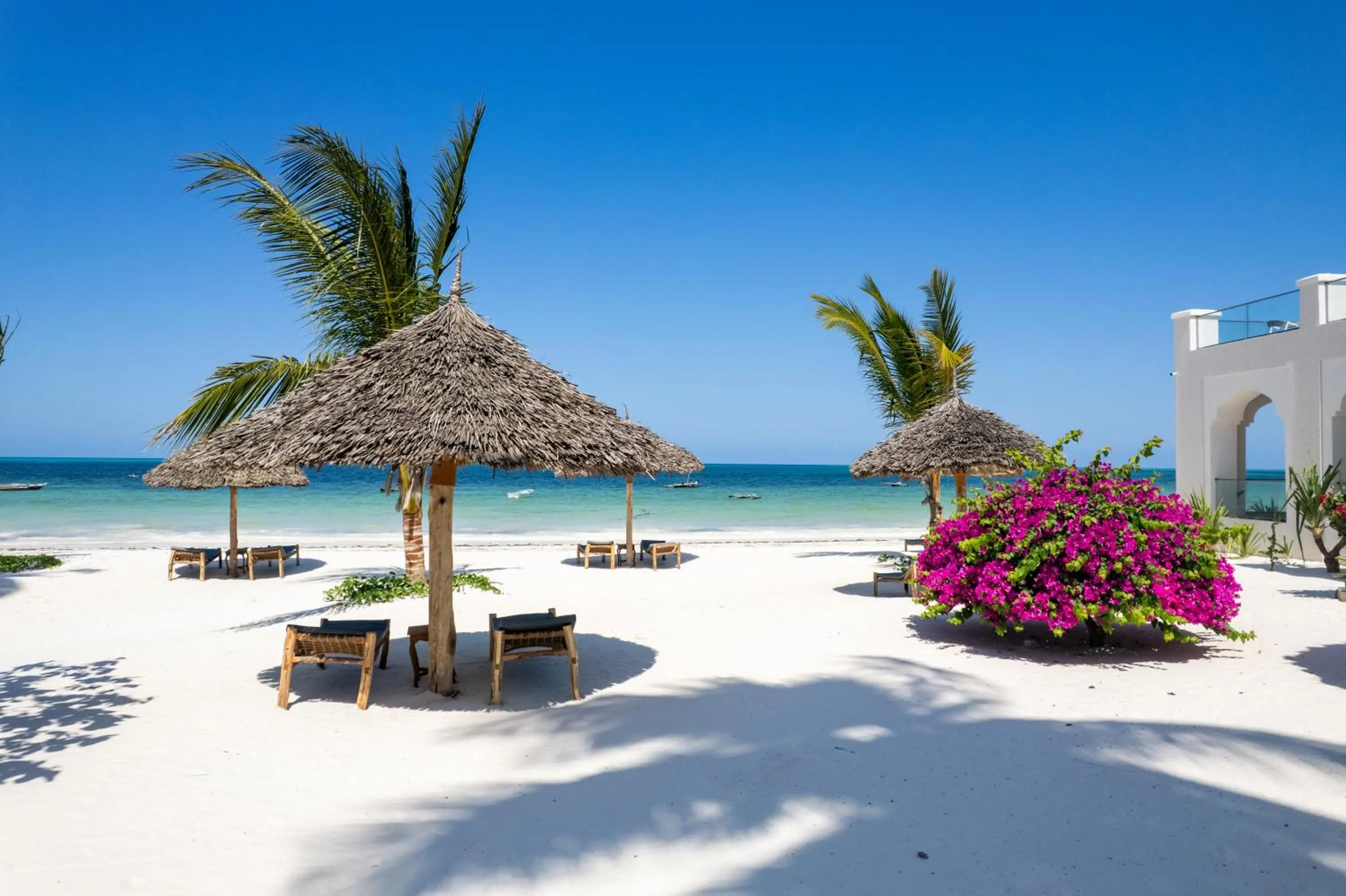 Natural landscape in Tembo Kiwengwa Resort